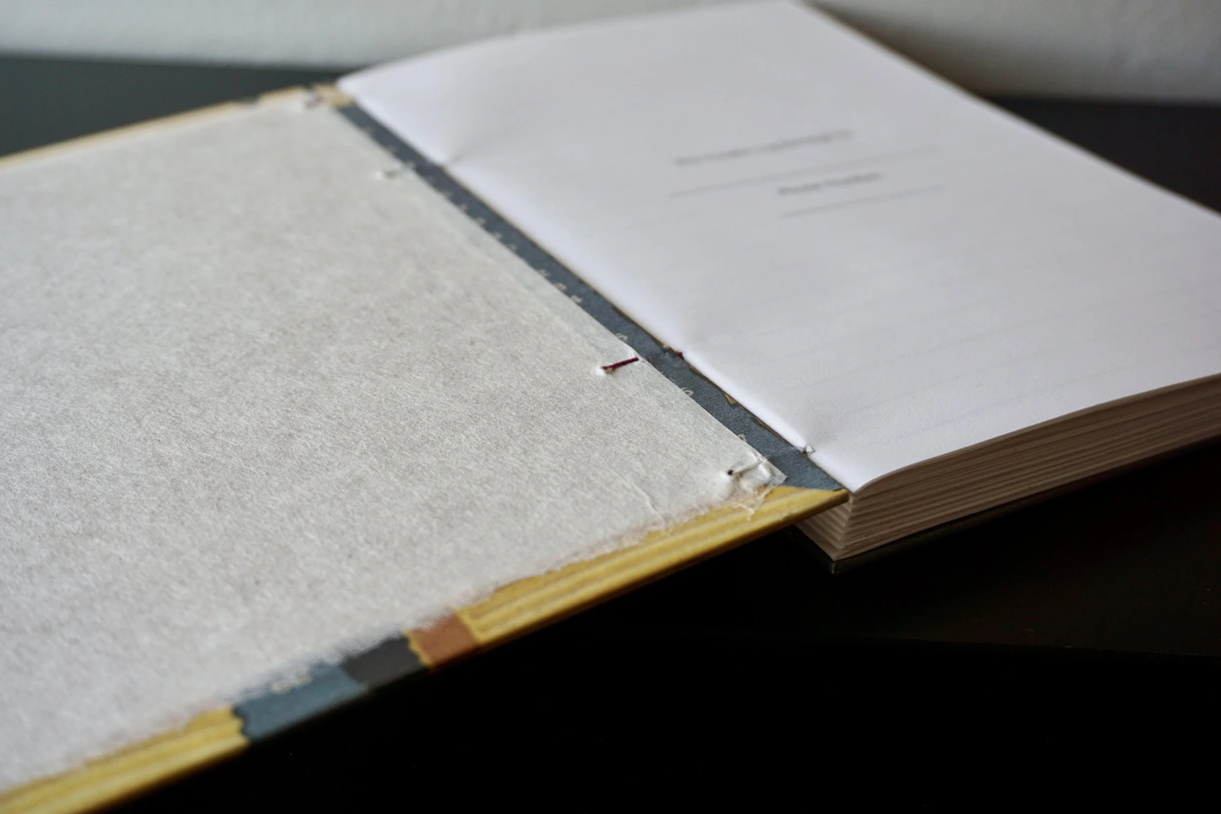 DSC08244_Original 3.jpg