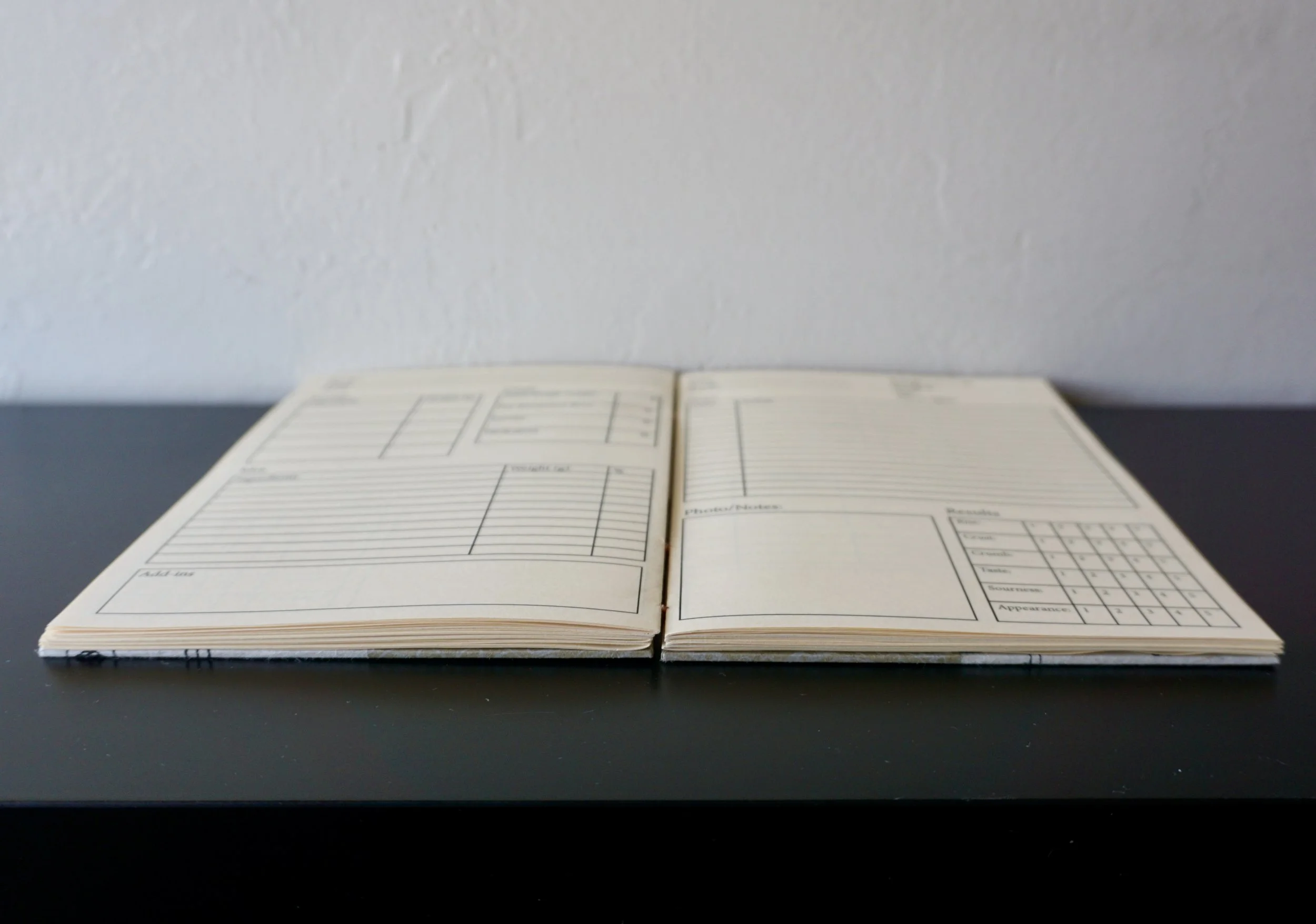 DSC08197_Original 3.jpg