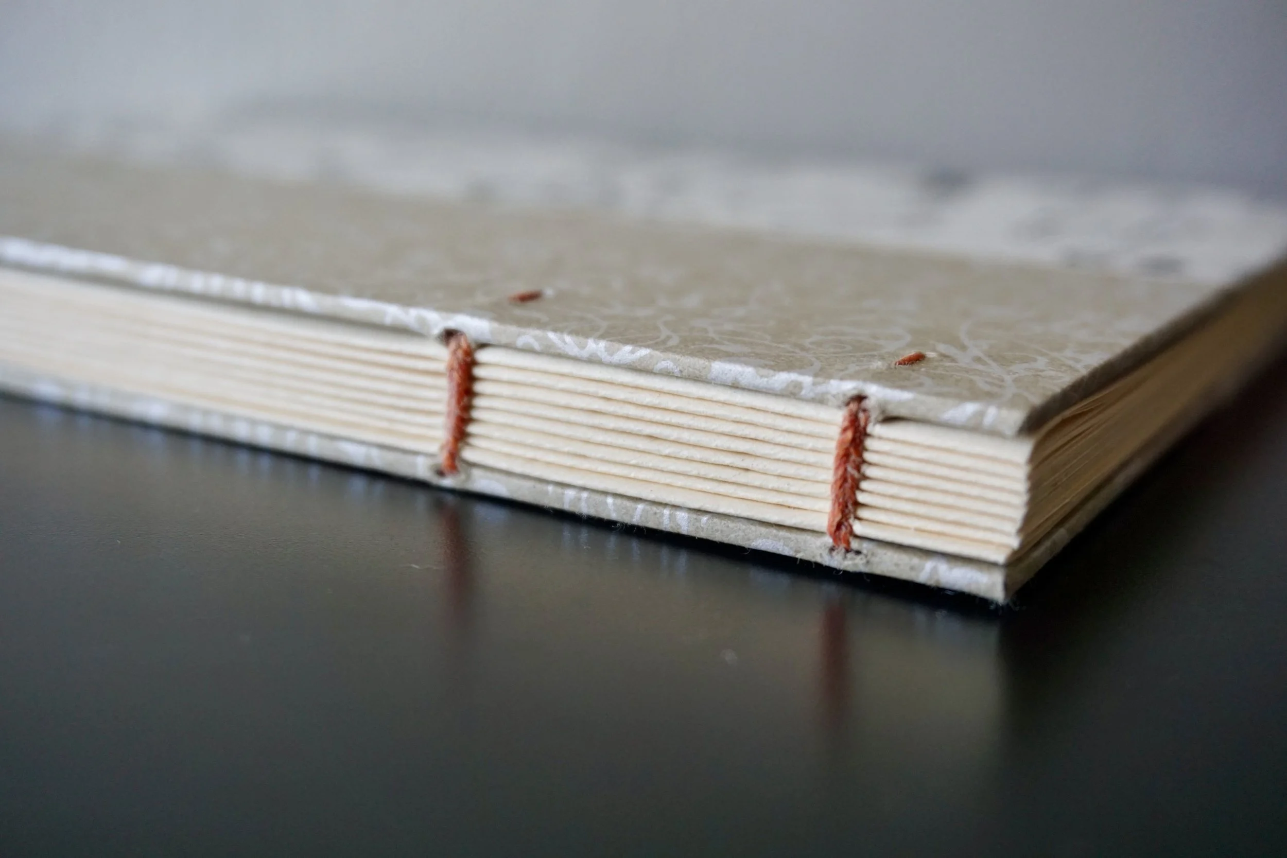 DSC08179_Original 3.jpg