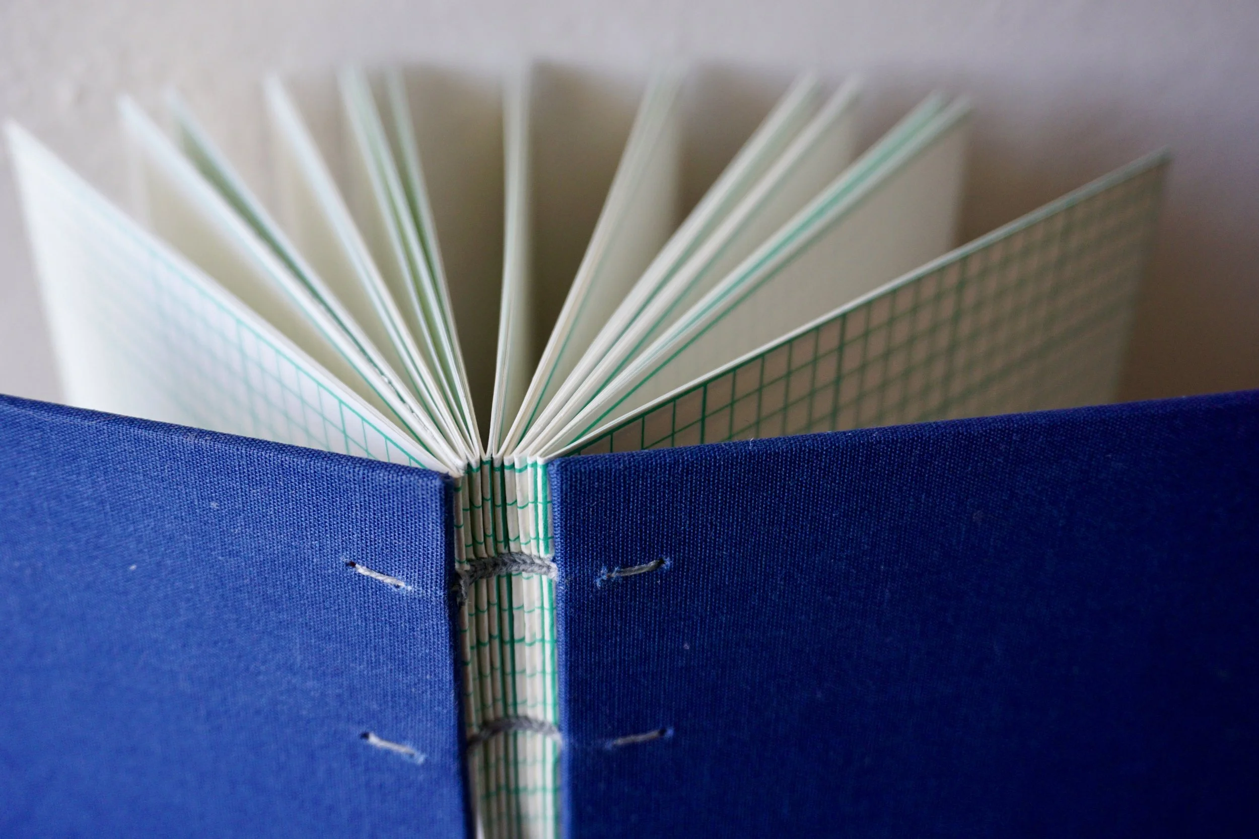 DSC08173_Original 2.jpg