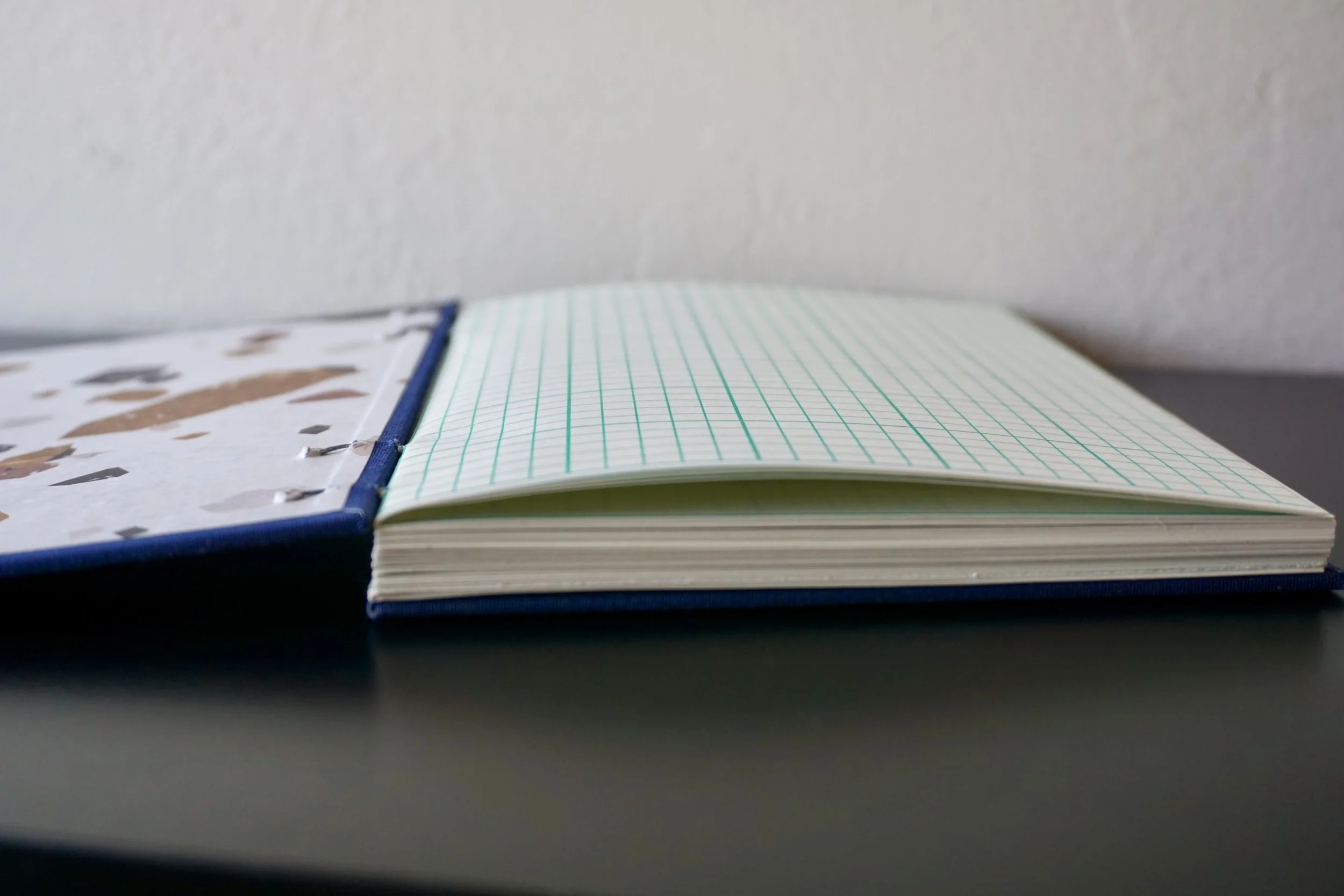 DSC08159_Original 2.jpg