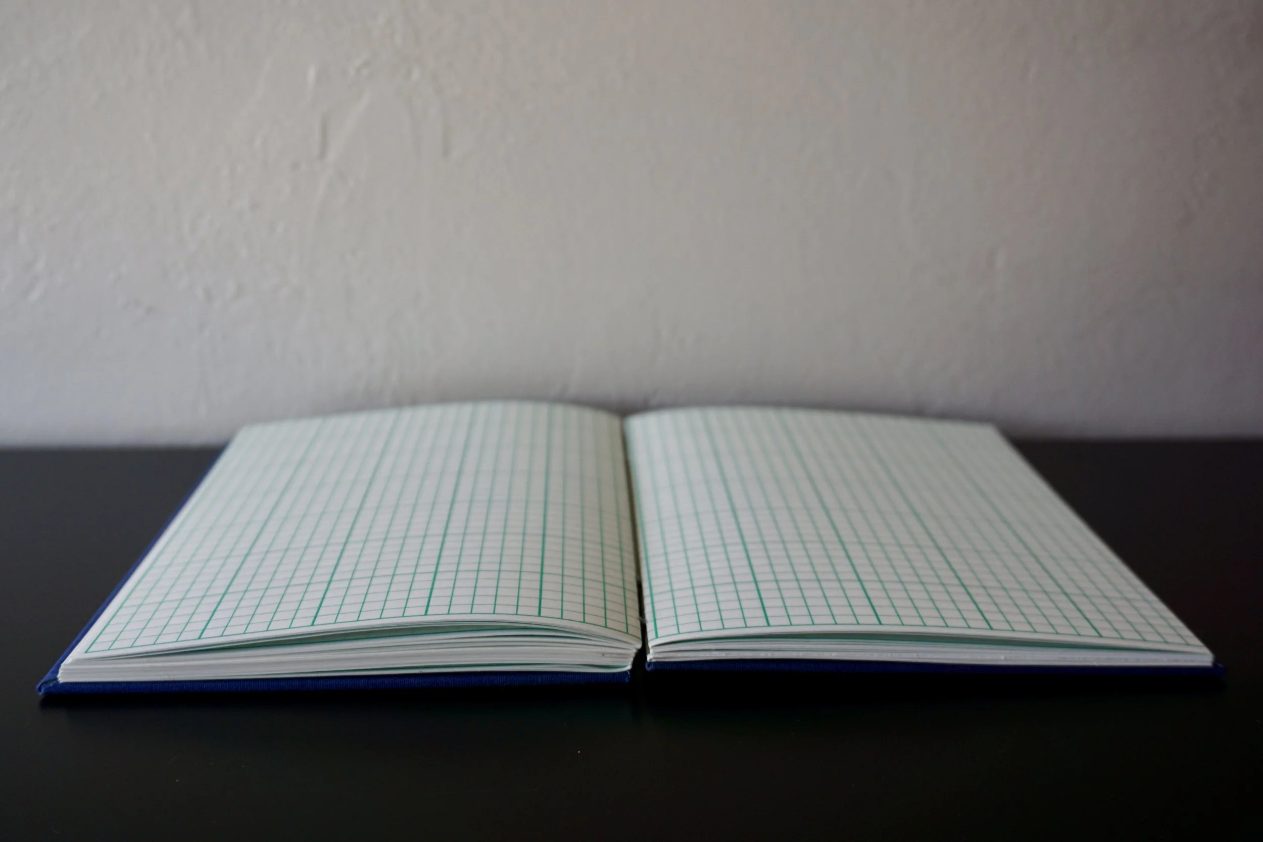 DSC08165_Original 2.jpg