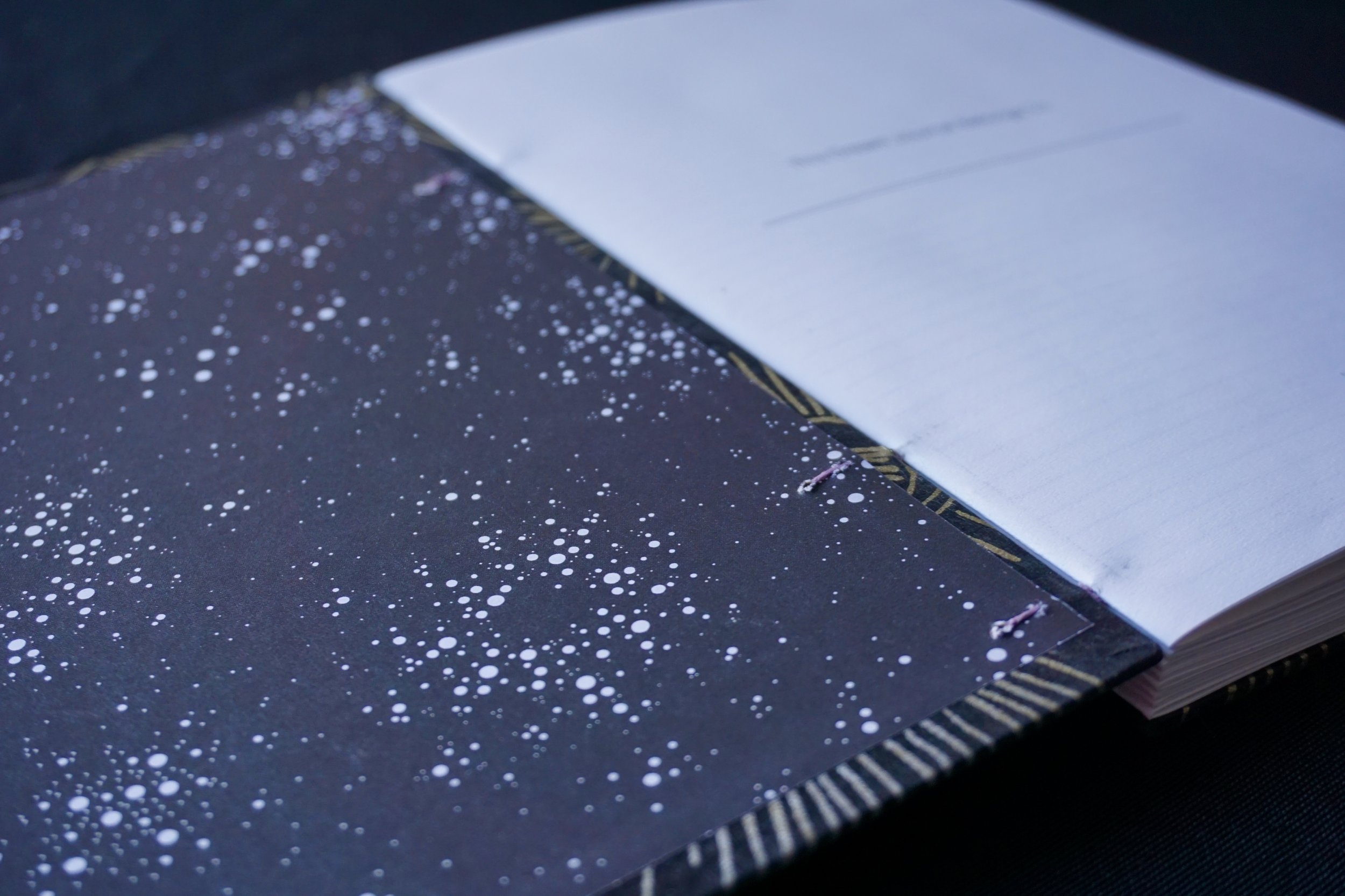 DSC01634_Original 2.jpg