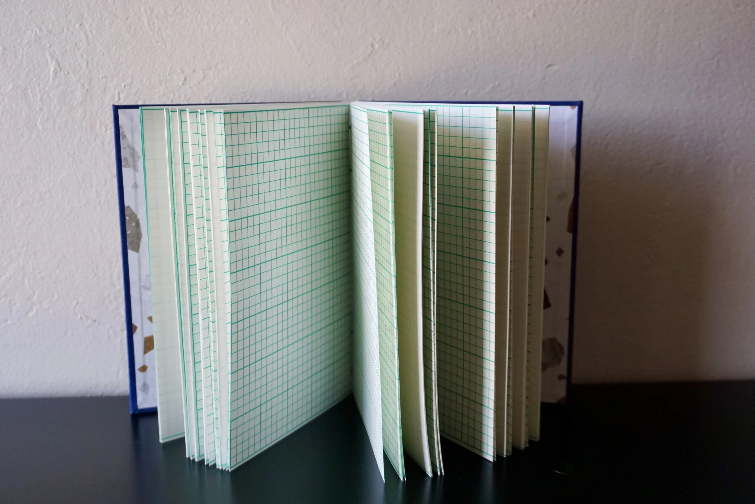 DSC08164_Original 2.jpg