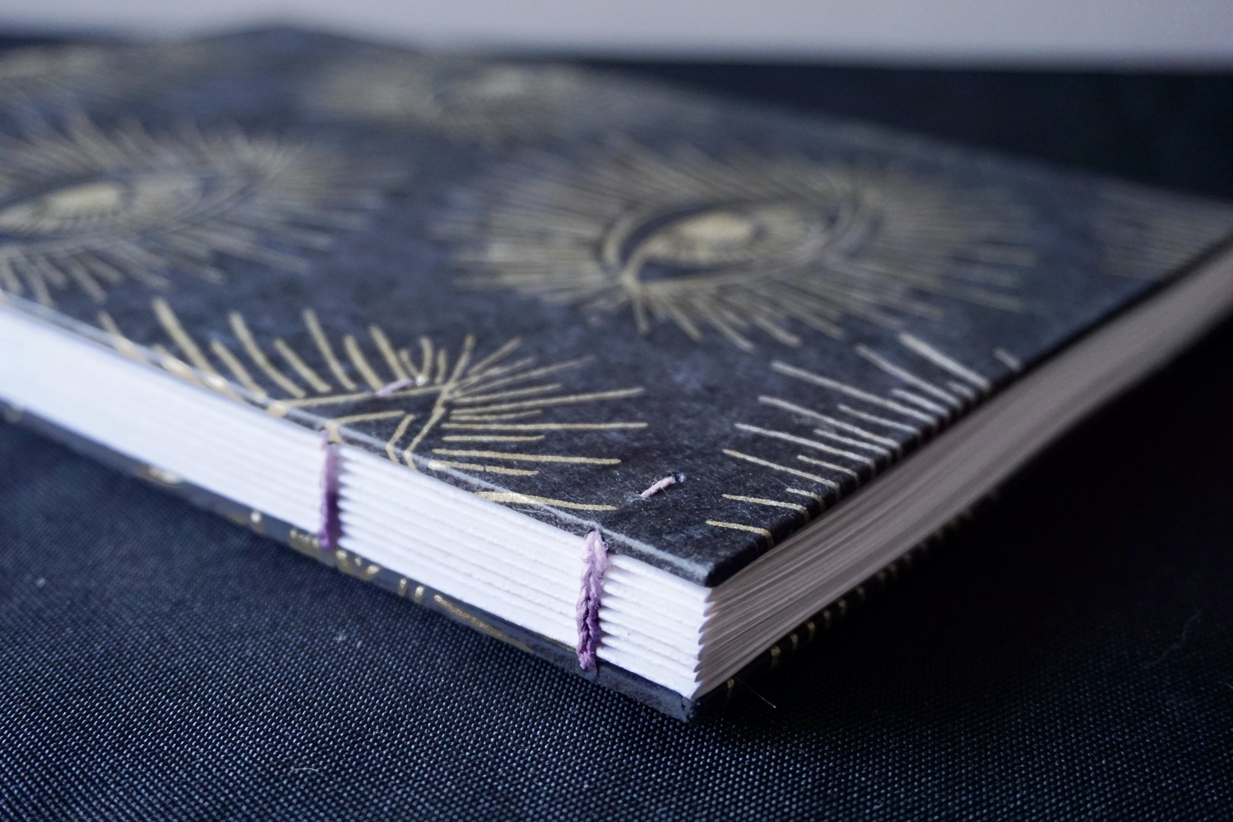 DSC01617_Original 2.jpg