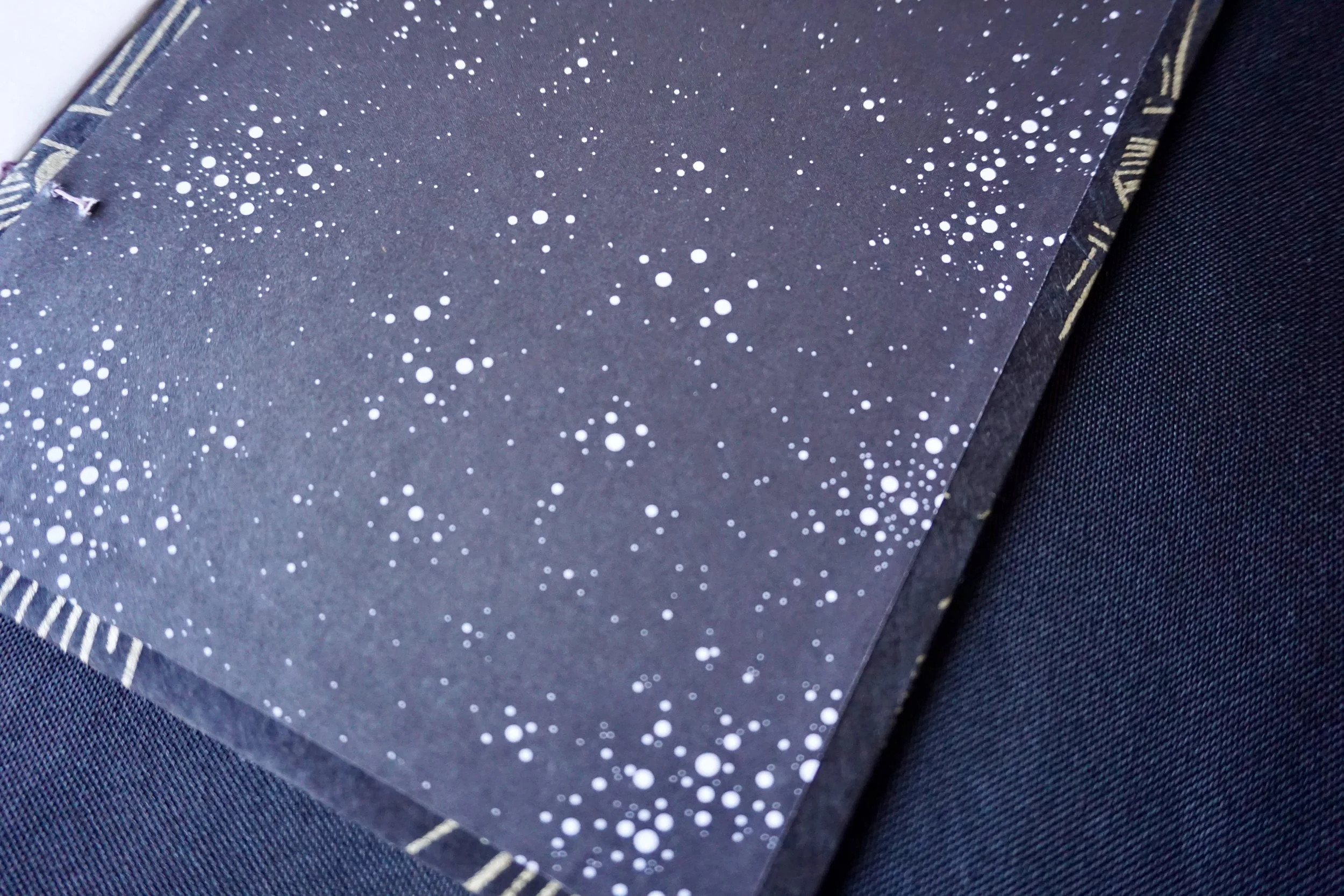 DSC01646_Original 2.jpg