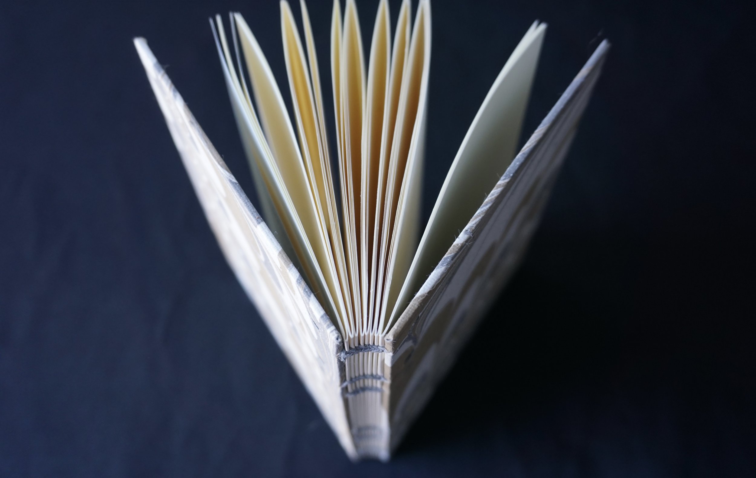 DSC01541_Original 3.jpg