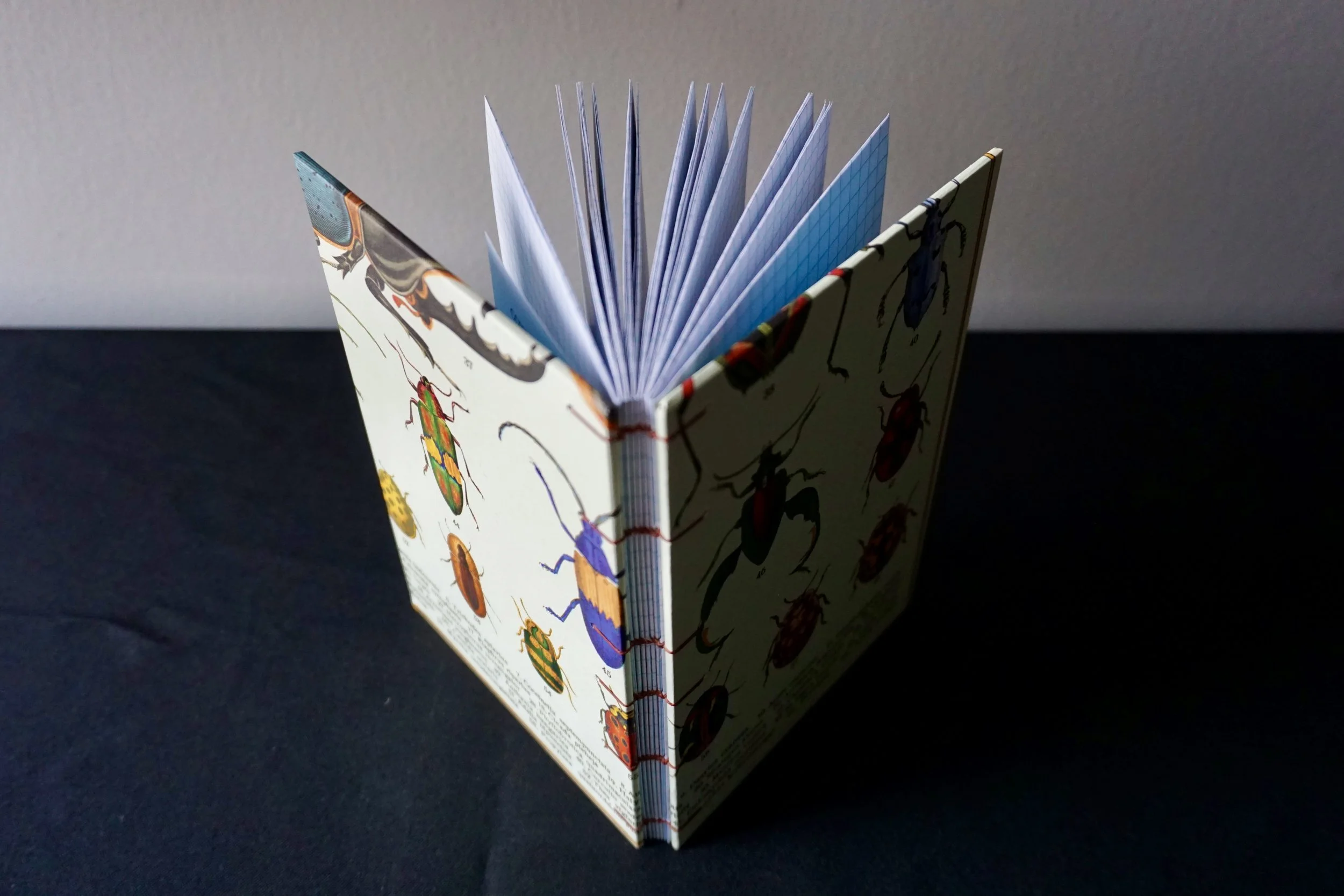 Gridded Notebook with Decorative Insect Covers