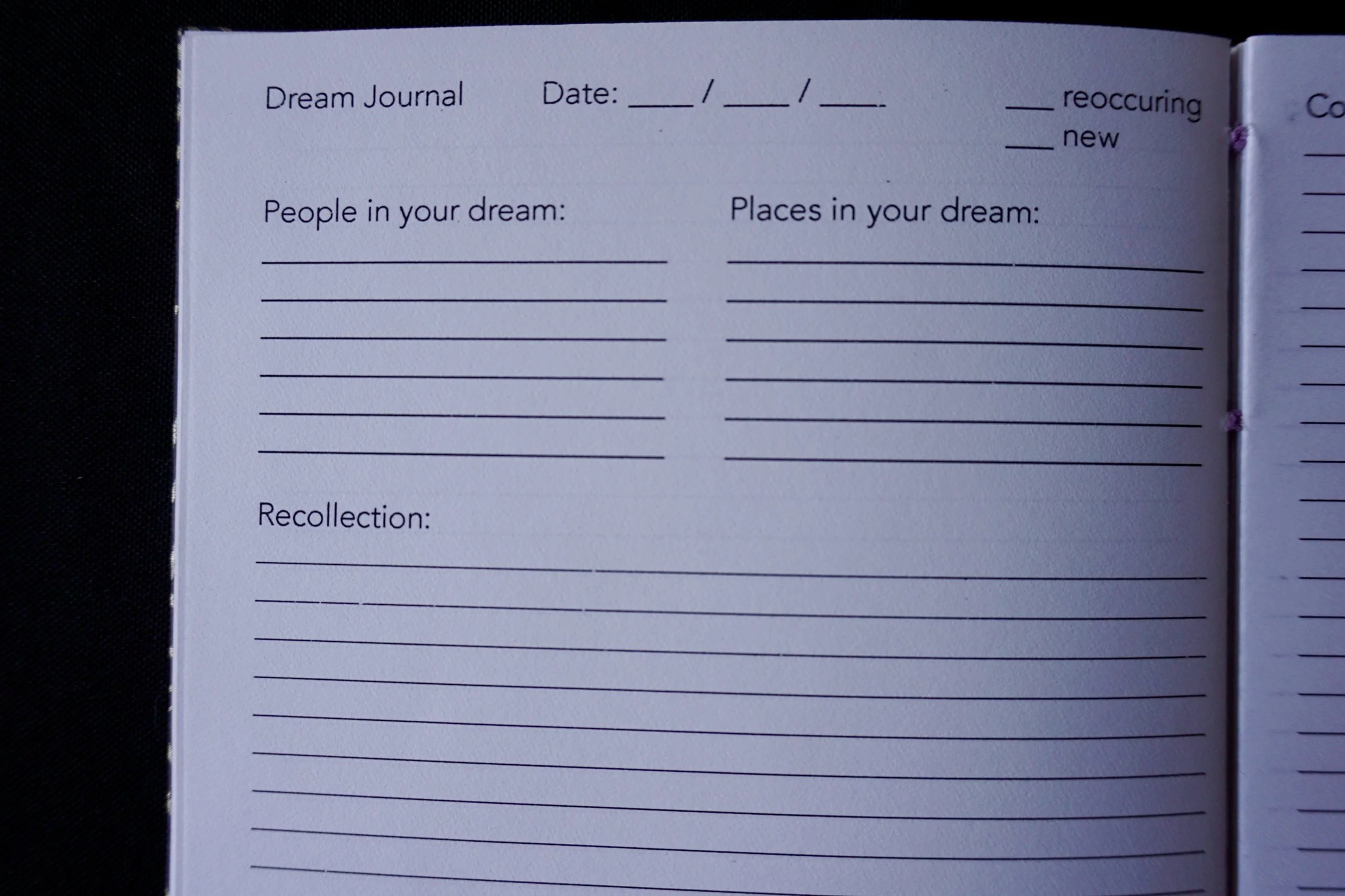 DSC01643_Original 2.jpg