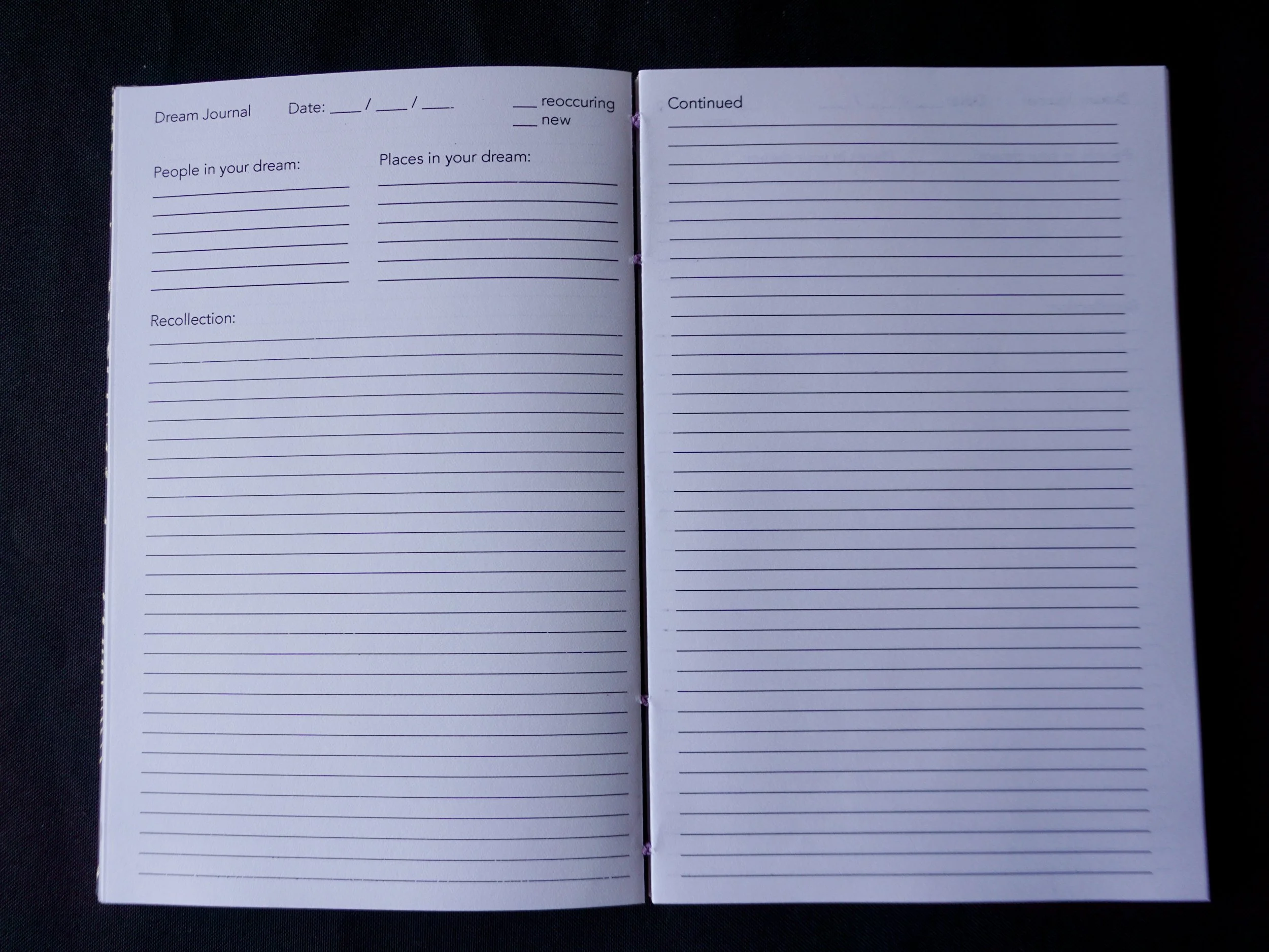 DSC01641_Original 2.jpg