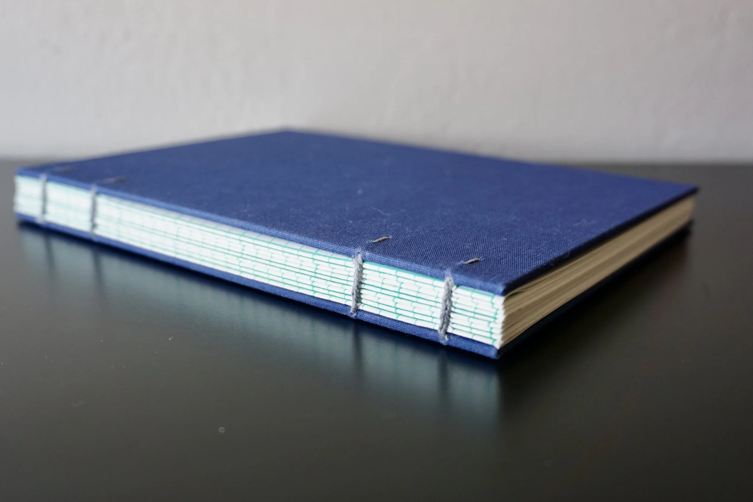 DSC08152_Original 2.jpg