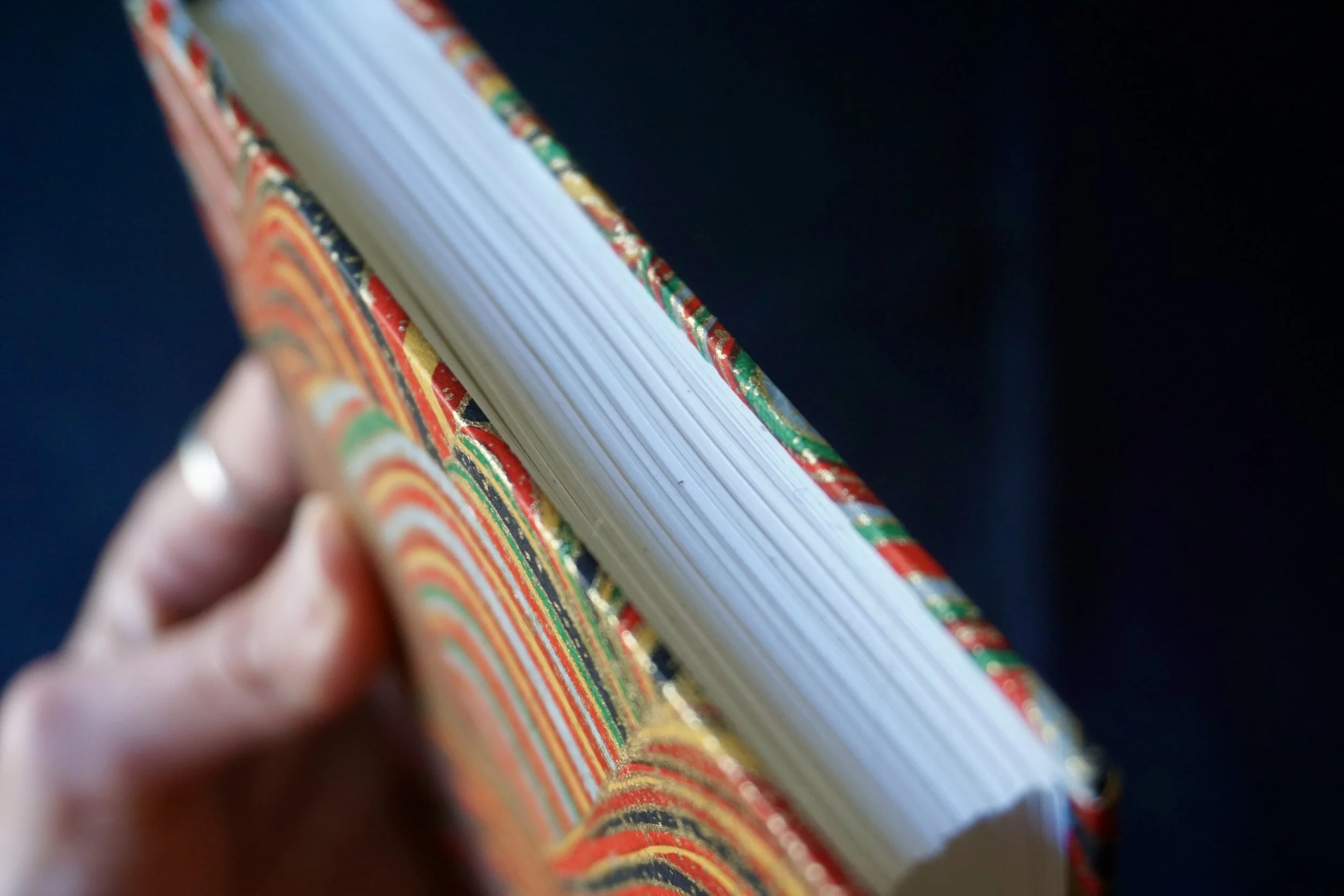 DSC02246_Original.jpg