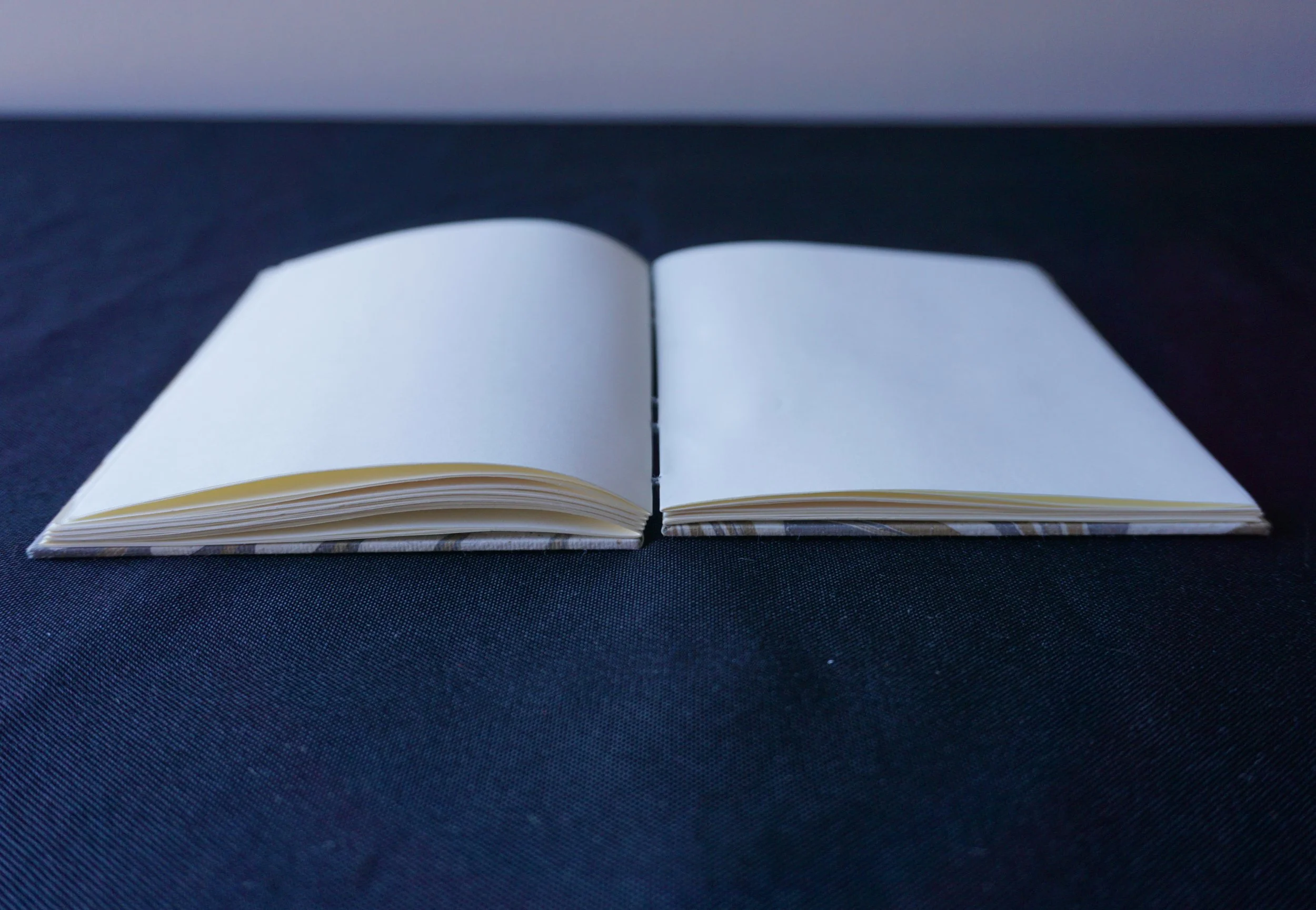 DSC01532_Original 3.jpg