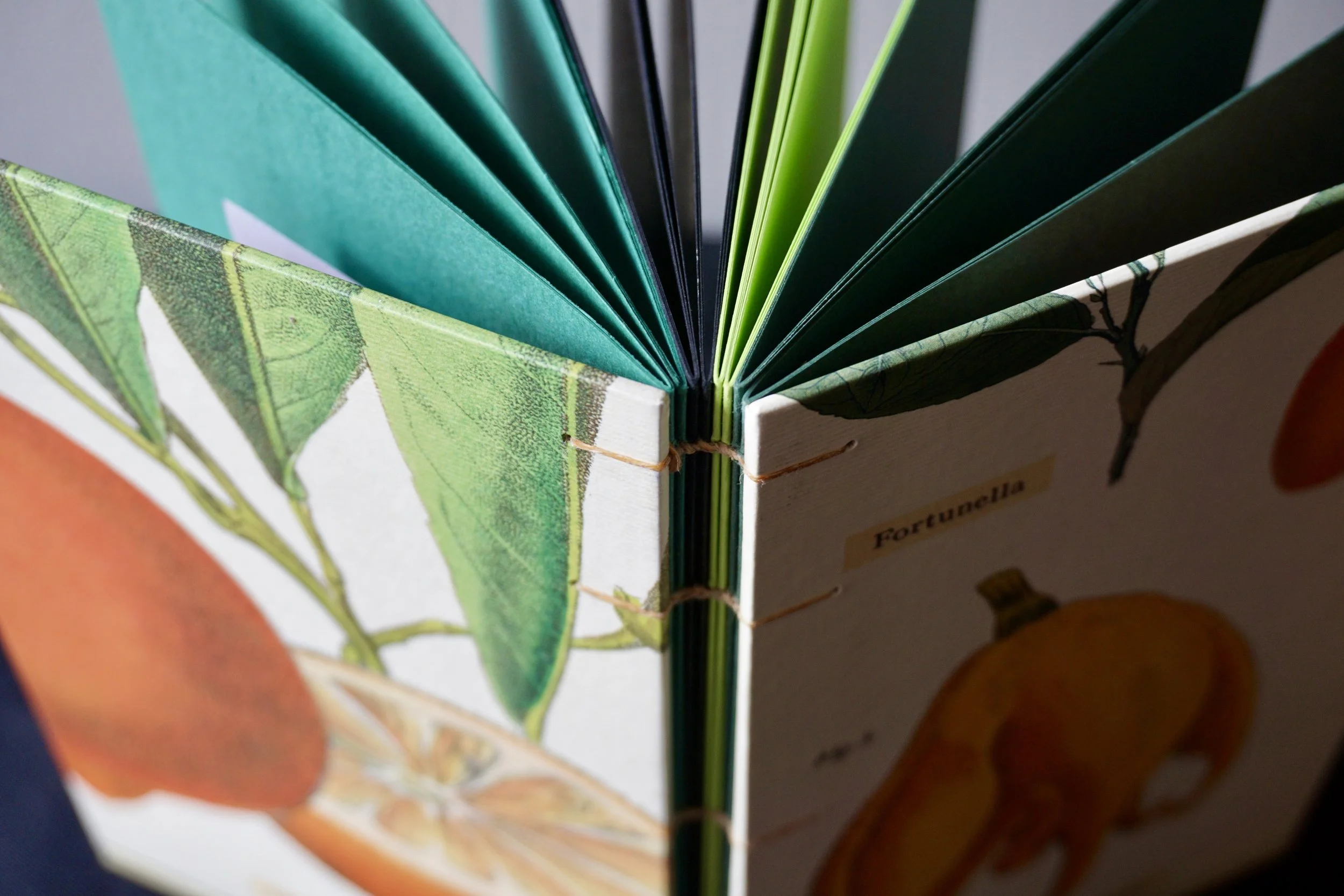 Multi-Colored Sketchbook with Citrus Covers