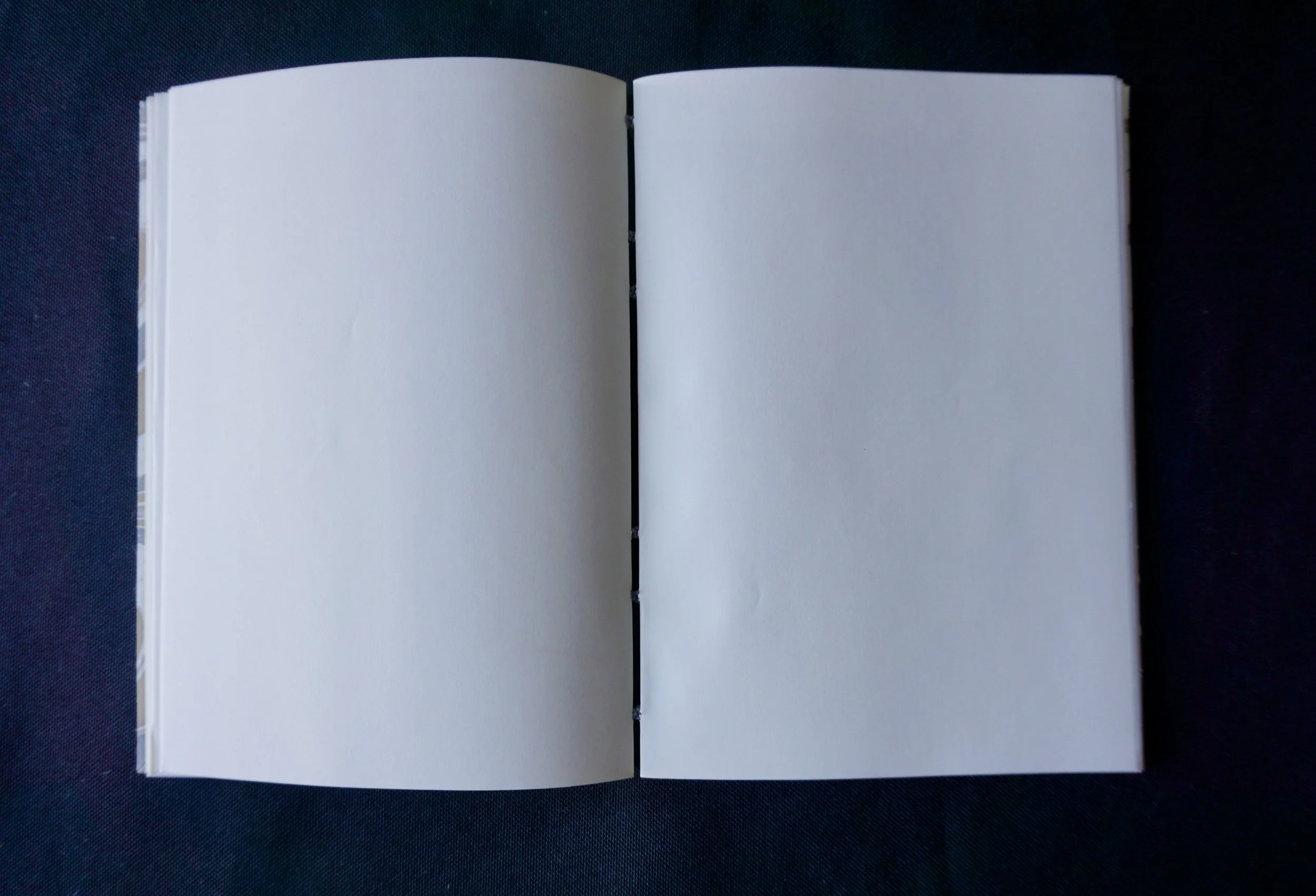 DSC01530_Original 3.jpg