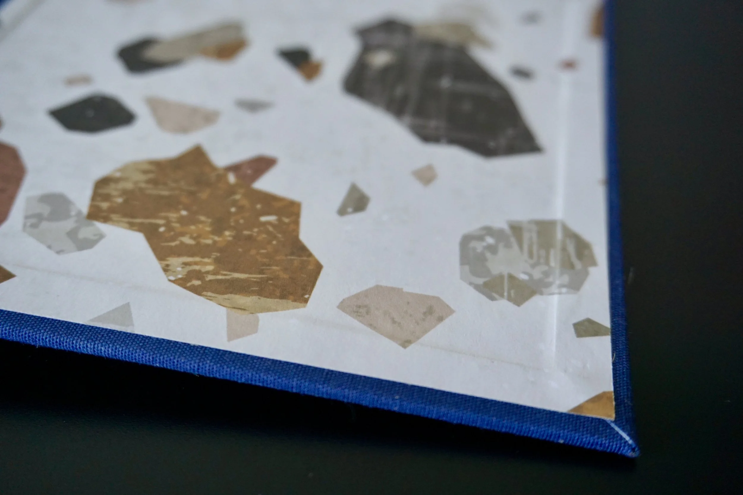 DSC08167_Original 2.jpg