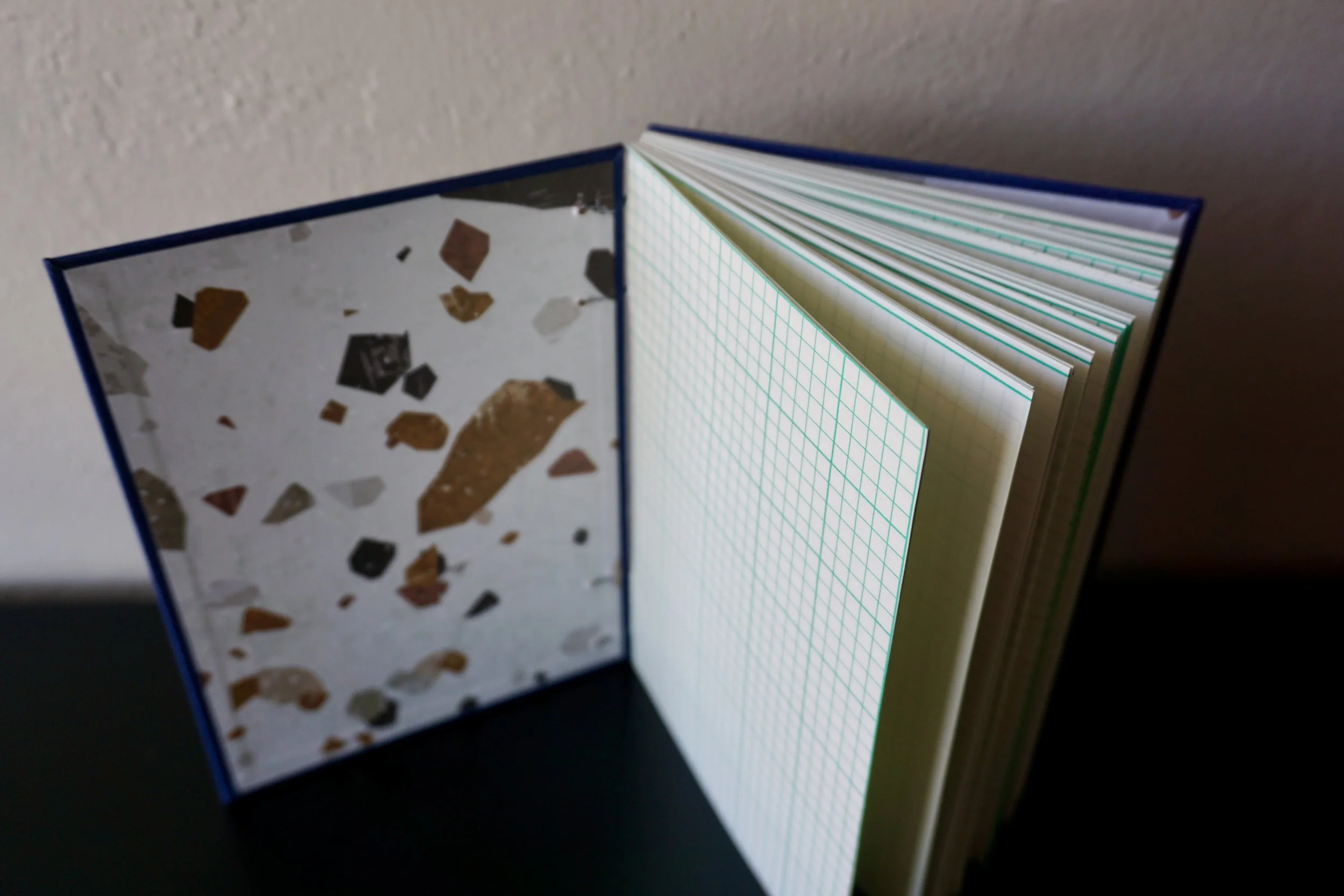 DSC08163_Original 2.jpg