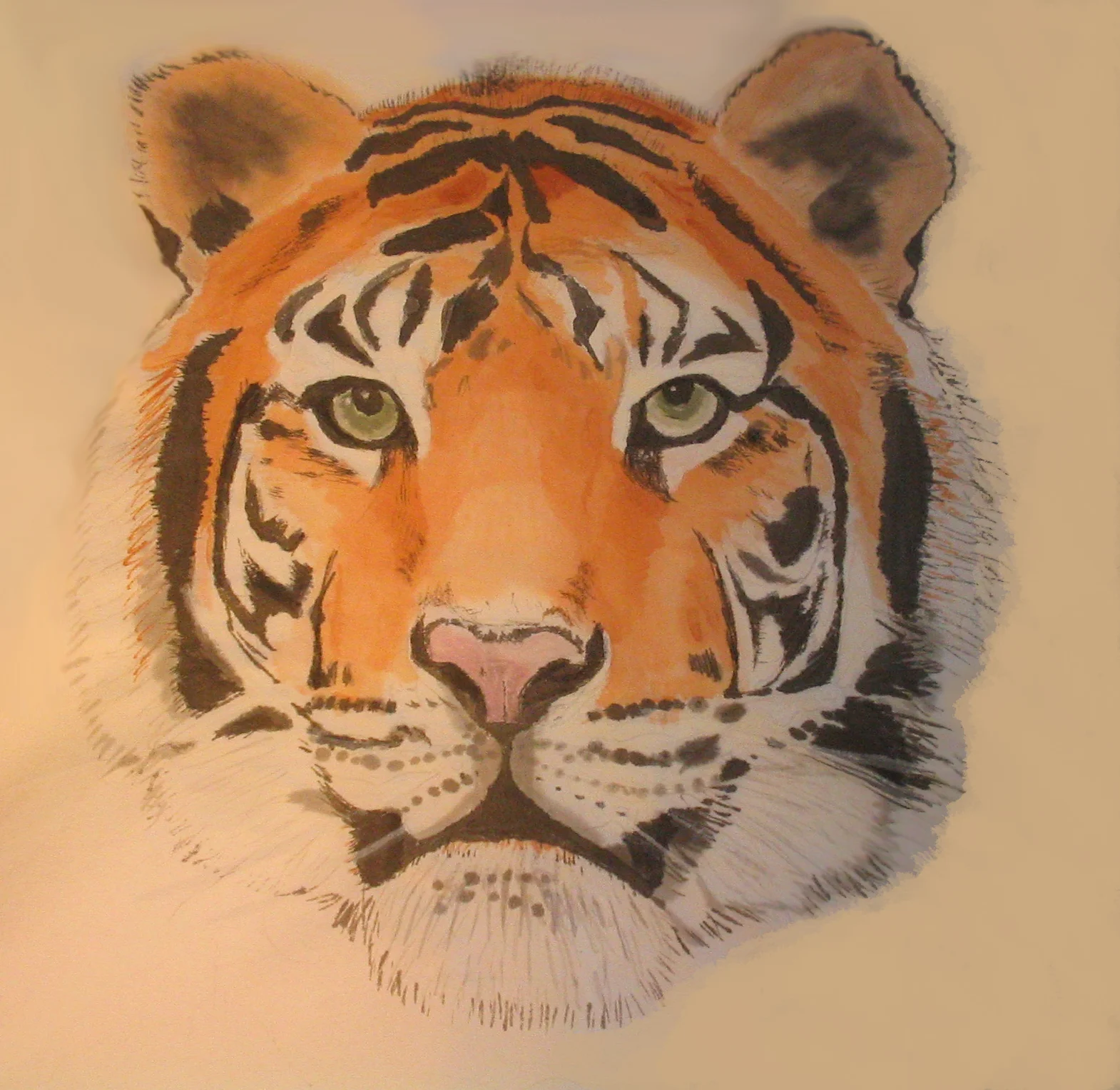 Year of the Tiger