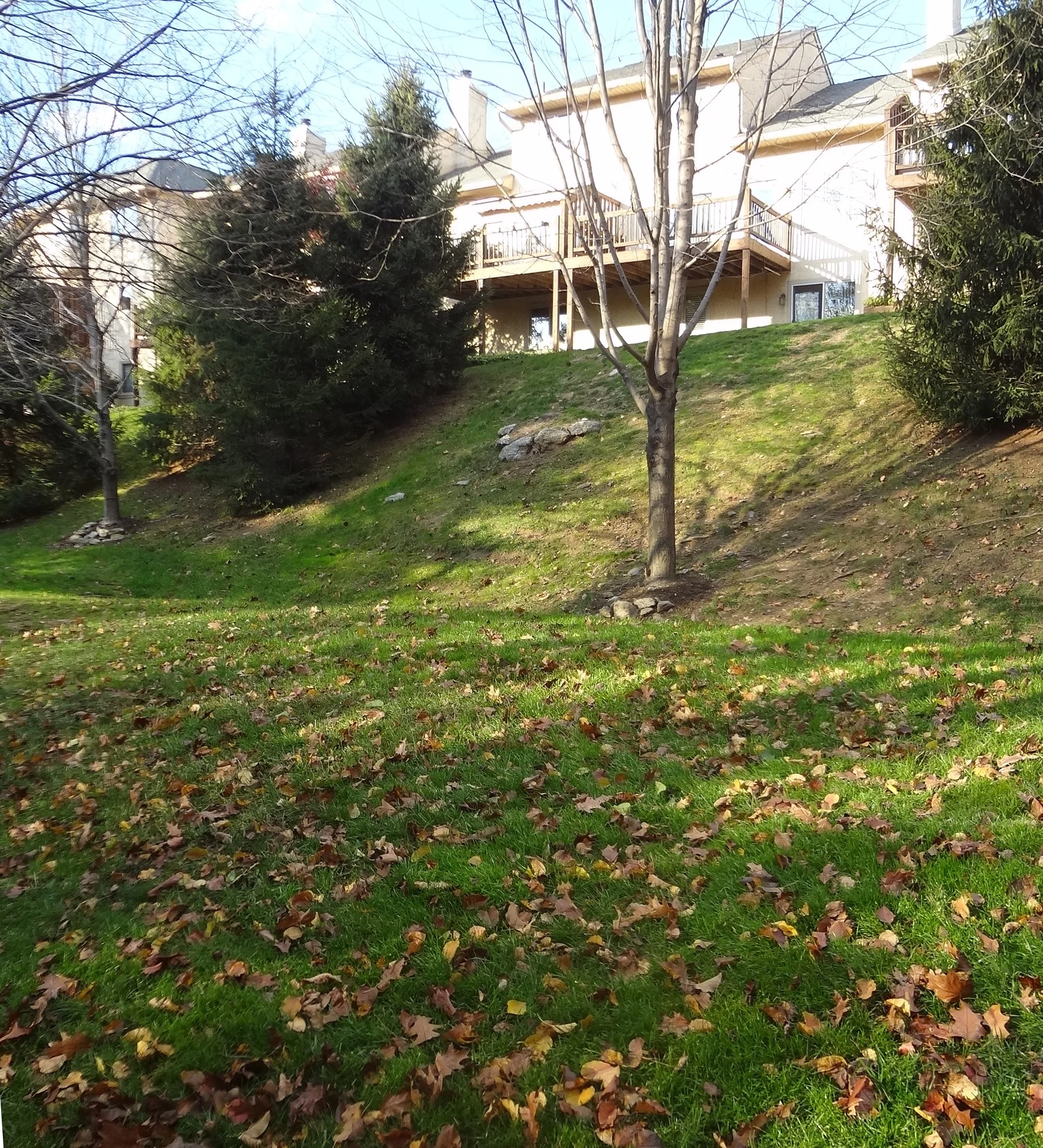 CB16a REAR ELEV winter vu - Copy.JPG