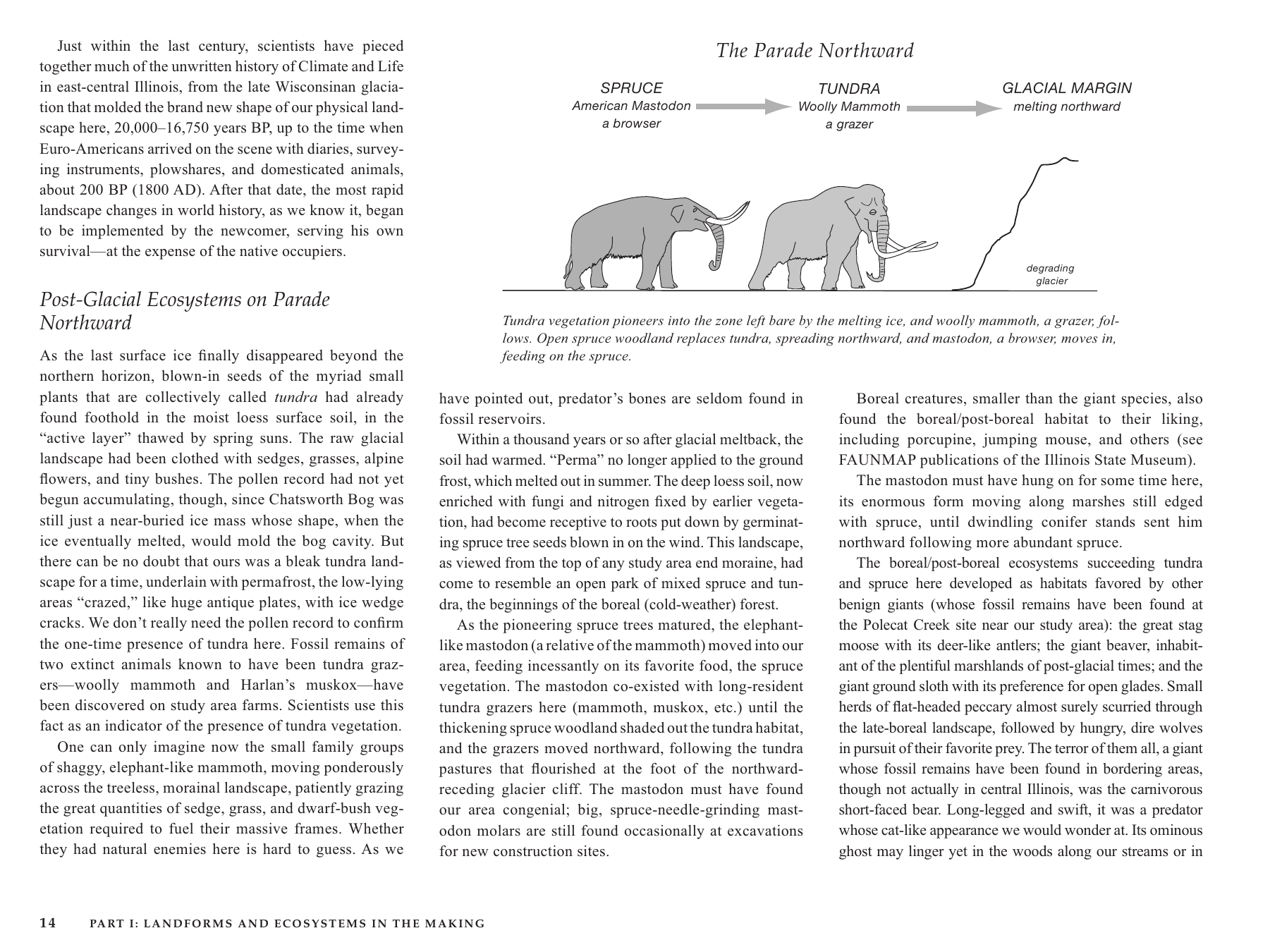 page-028.png