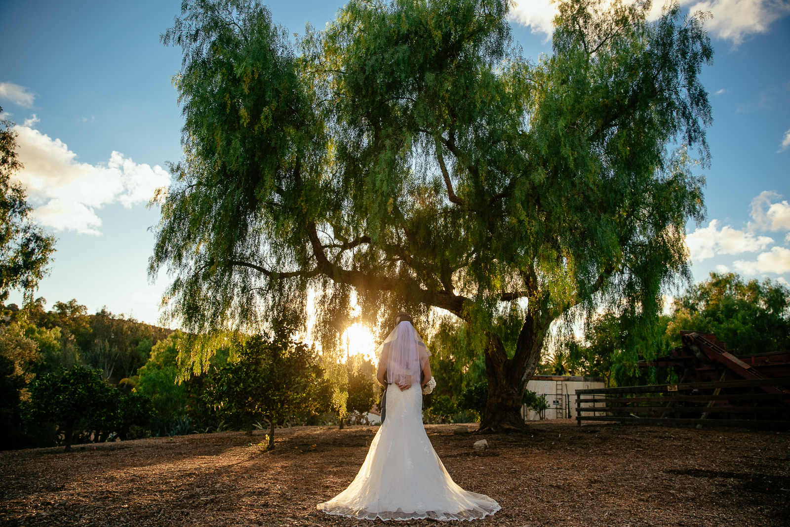 SAMANTHA_&_LUCAS_LEO_CARRILLO_LEAF_WEDDING_PHOTOGRAPHY_20147X9A9019.JPG