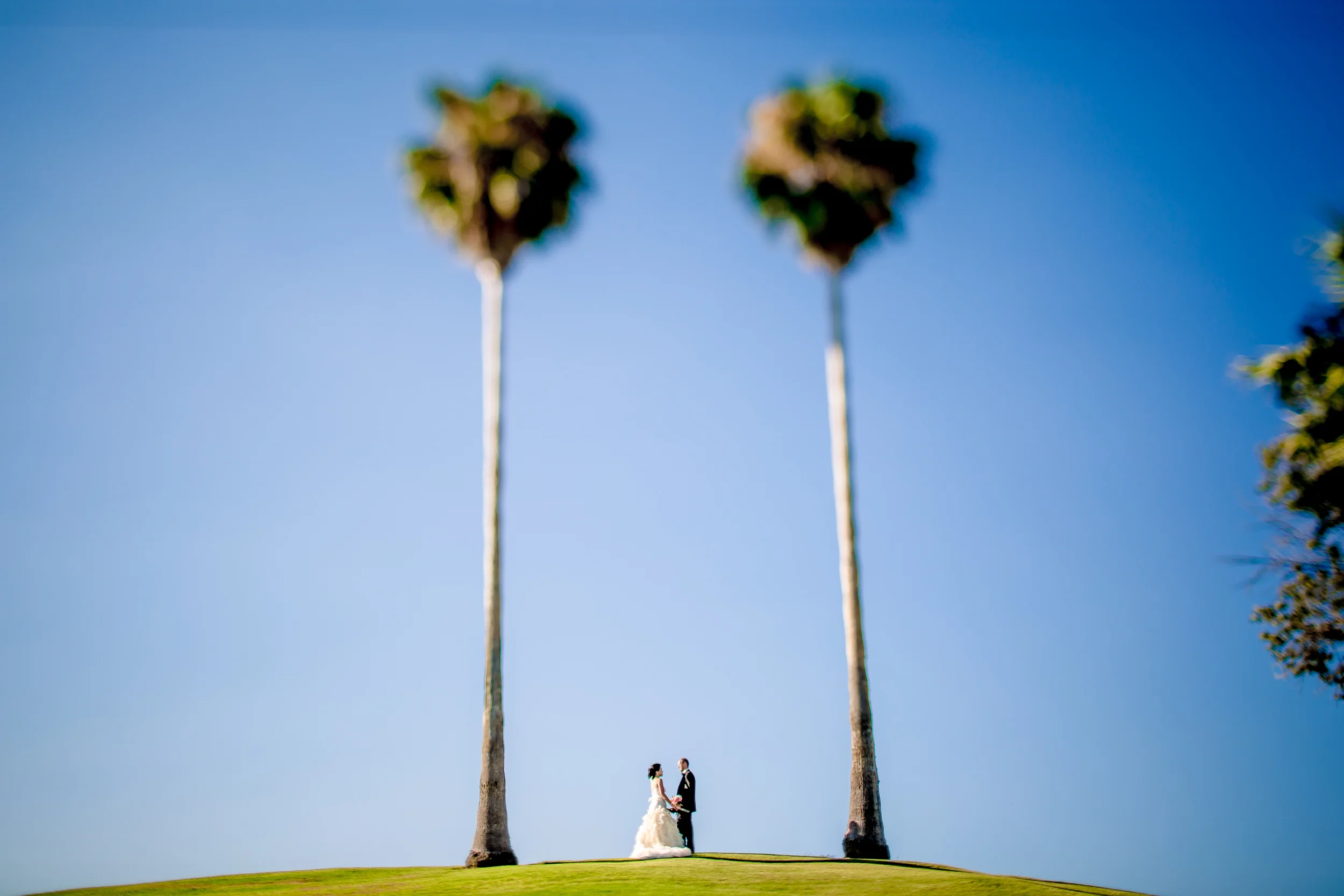 LEAF_WEDDING_PHOTOGRAPHY_SAN_DIEGO_2013_4228.JPG