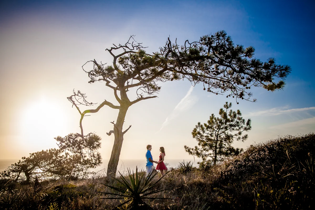 ENGAGEMENT_SESSION_TORREY_PINES_2013_5016.JPG