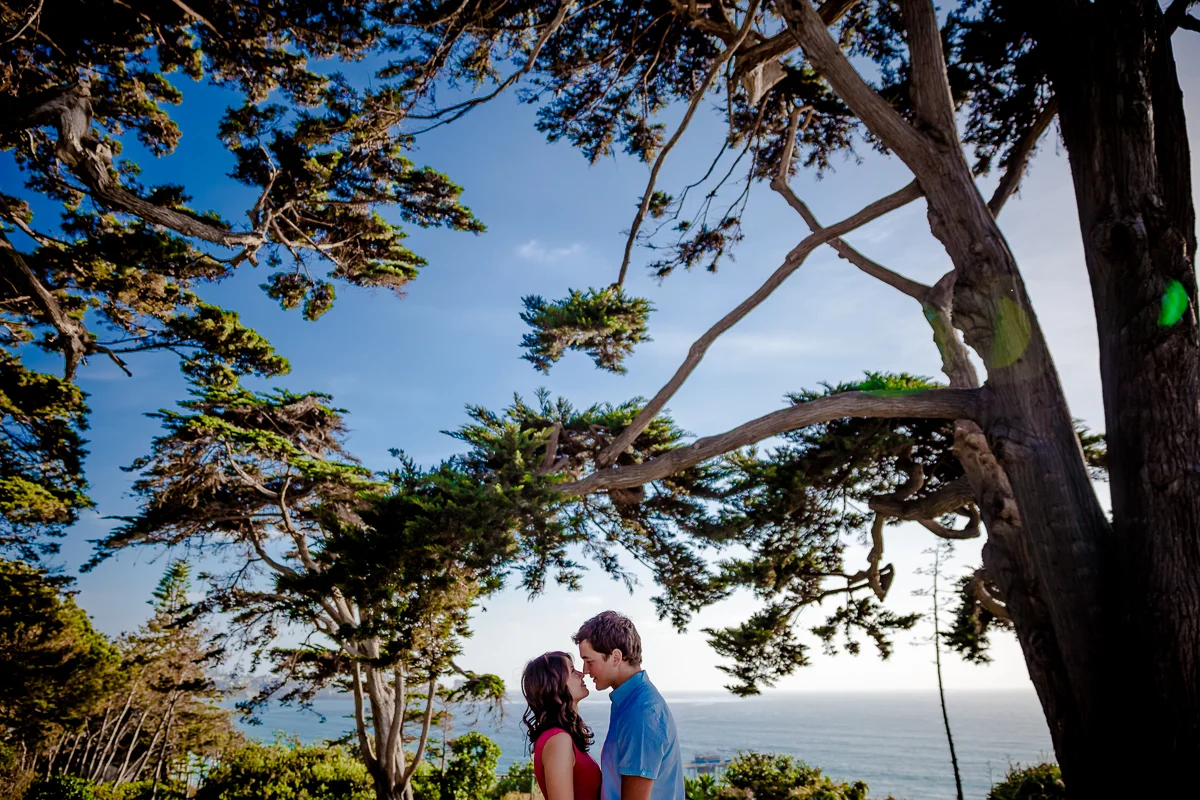 ENGAGEMENT_SESSION_TORREY_PINES_2013_4900.JPG