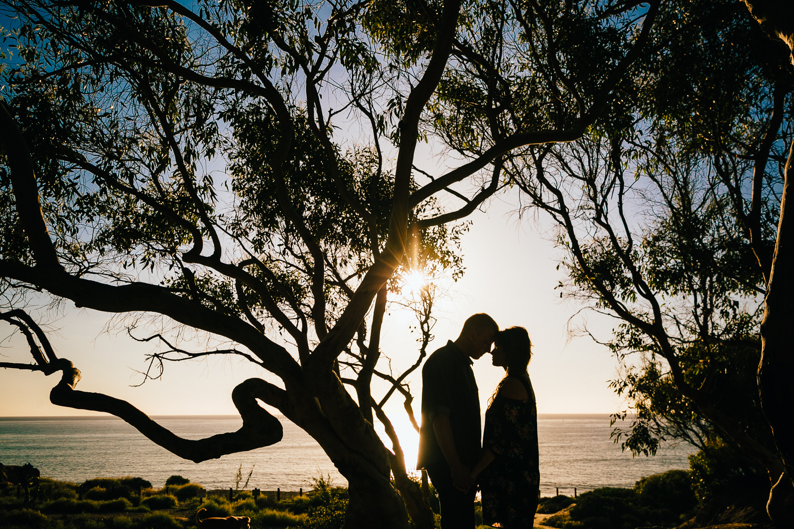 DANYELLE_&_ERIC_ENGAGEMENT_SESSION_SUNSET_CLIFFS_LEAF_WEDDING_PHOTOGRAPHY_2015IMG_2318.JPG