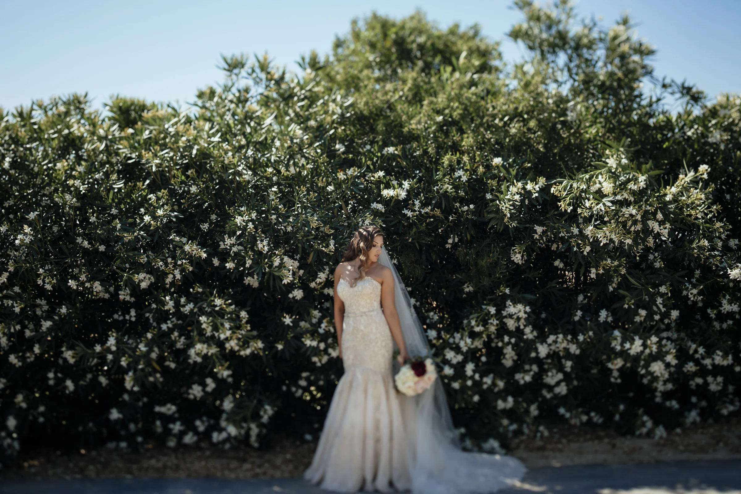 0017_ASHLEY_&_ERIK_LEAF_WEDDING_PHOTOGRAPHY_TEMECULA_6663.JPG