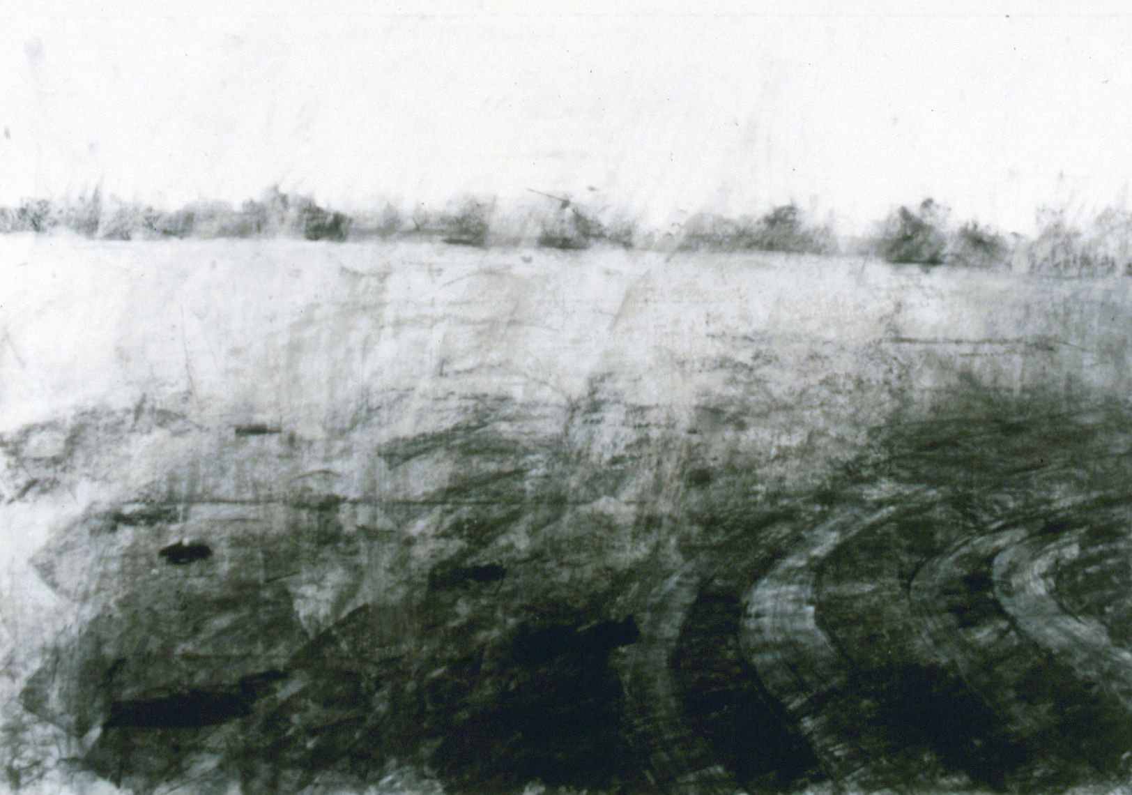 Vegetable (3 of 3, Triptych). Charcoal on paper. 120 x 150cm. © 2000 Ida Montague. Public Collection: Townsville District Hospital
