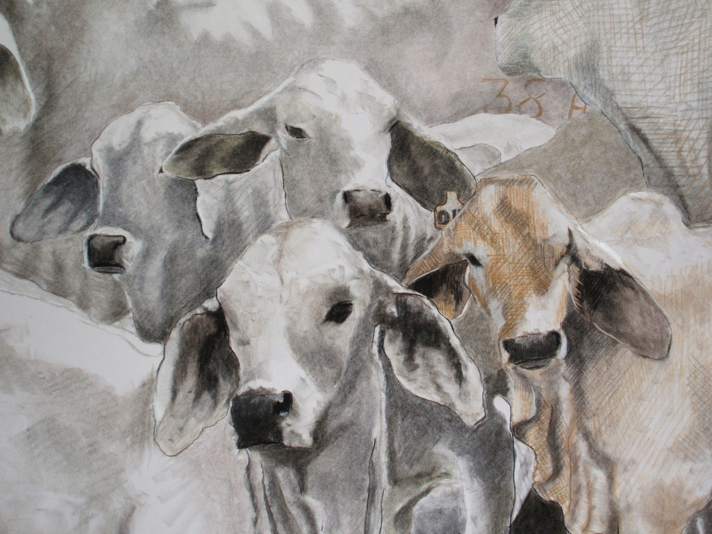 Close up of Are We There Yet? Charcoal on paper. 120 x 150cm. © 2009 Ida Montague. Corporate collection, Melbourne