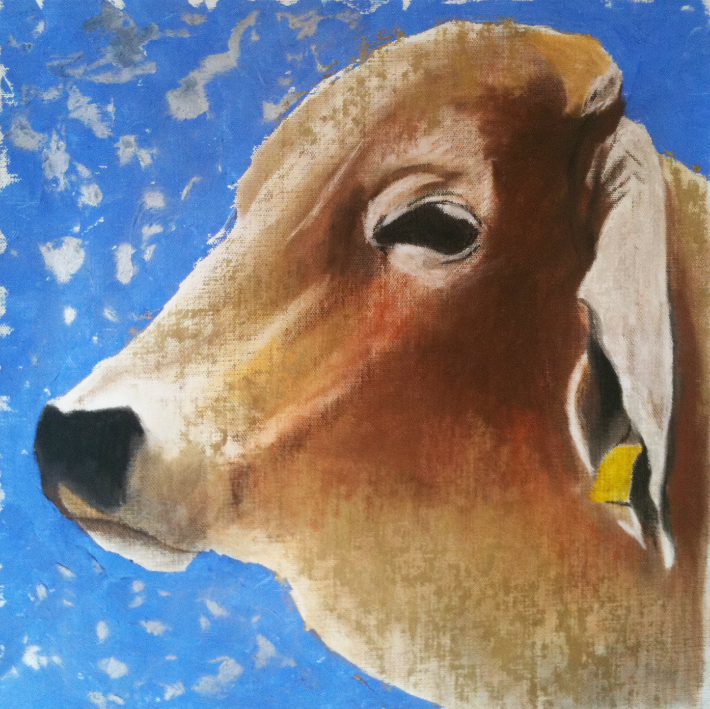    B-Bull  .&nbsp;Mixed media on canvas.&nbsp;45 x 45 cm.&nbsp; ©&nbsp; 2005 Ida Montague.&nbsp;Private collection, Holbrook, Australia. 