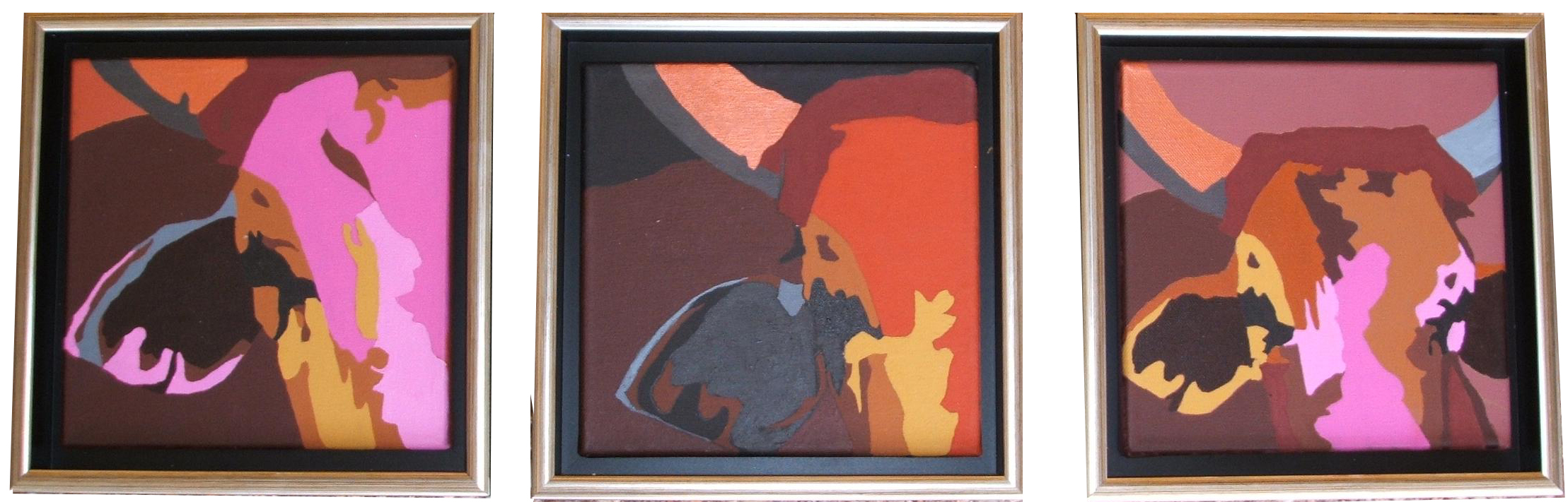Untitled (Brahman abstractions). Acrylic polymer on canvas. Set of 3, 20 x 20cm each, Framed. © 2006 Ida Montague. Corporate collection, Australia.