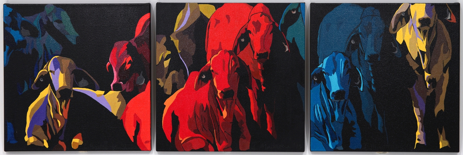 Watching Me Watching You. Acrylic polymer on canvas. Triptych 45 x 45 cm each. © 2014 Ida Montague. ENQUIRE