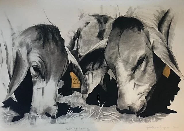 &lsquo;Feeding Frenzy&rsquo;  Now available..... Signed Limited Edition of 10 .... 58x76cm on archival paper................
Enquire ✏️@ida.montague #artprintforsale #charcoal #drawing #brahman #australia #fineart #interiors #australianart #australia