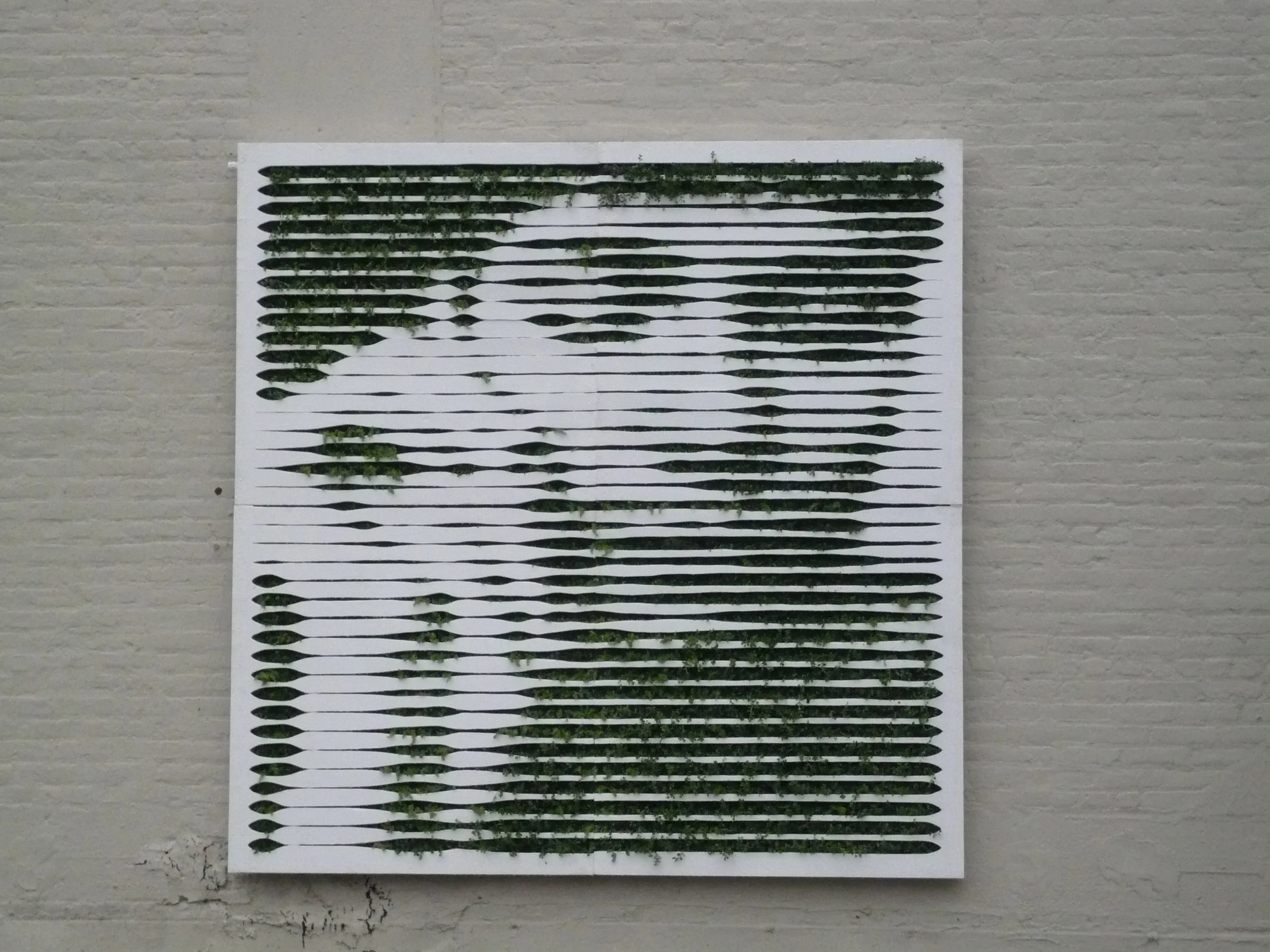 Edina Todoki Vertical Garden Art Installed