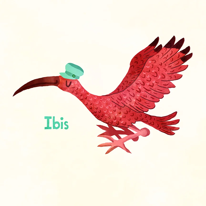 030-ibis.jpg