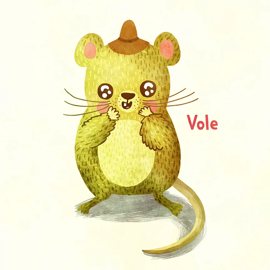 060-vole.jpg