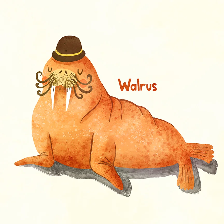061-walrus.jpg