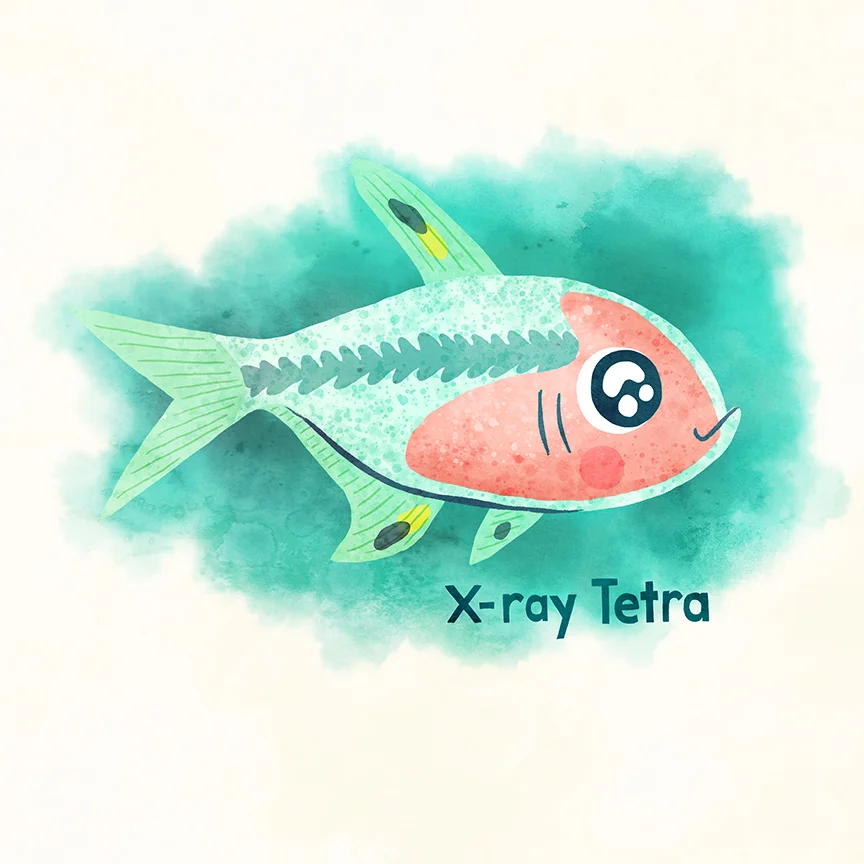 062-xraytetra.jpg
