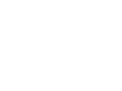 Top Dog Training