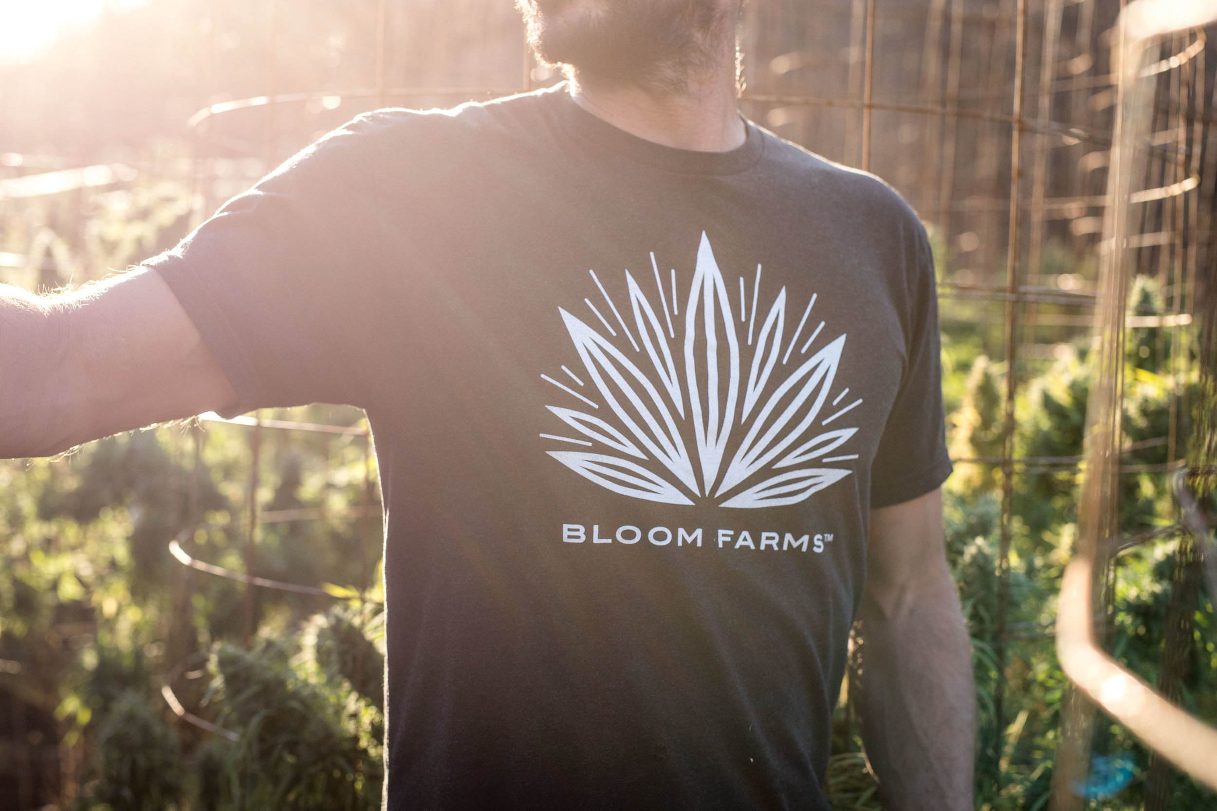 Bloom Farms  (7 of 9).jpg