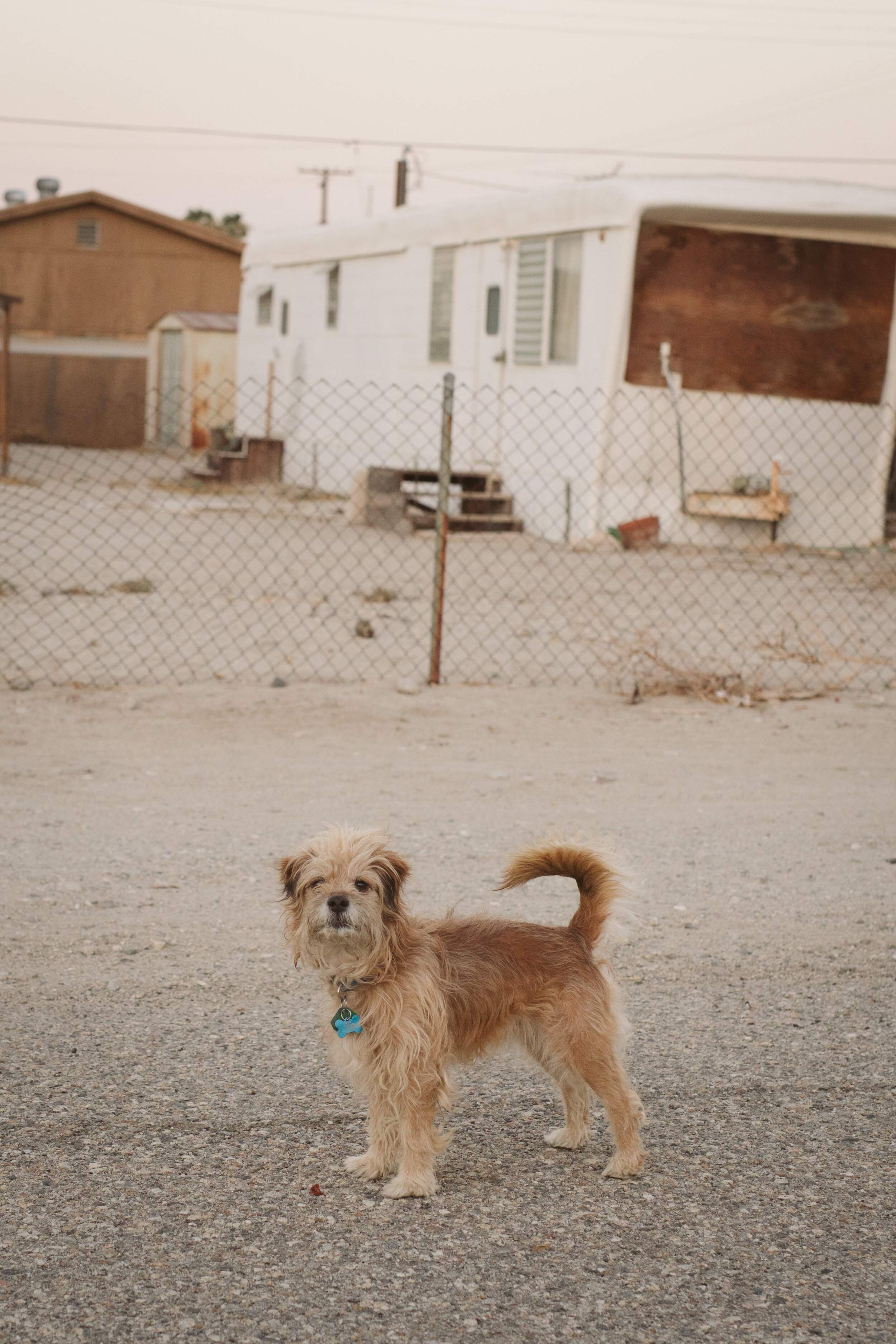 Salton Sea, CA  (6 of 11).jpg