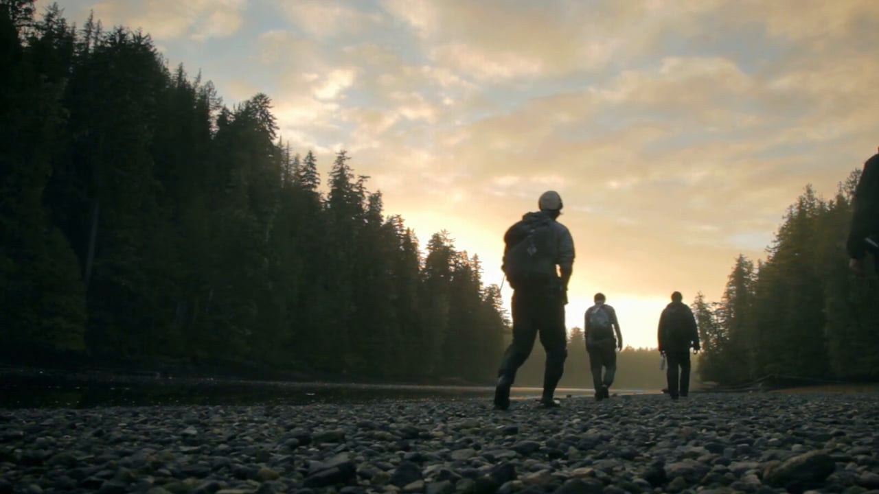 Woodshed Films / Groundswell