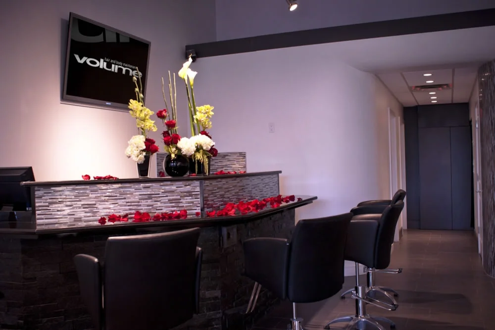 Salon Gallery Edmonton, AB Volume Salons