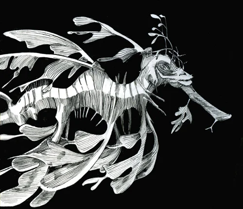 sea dragon.jpg