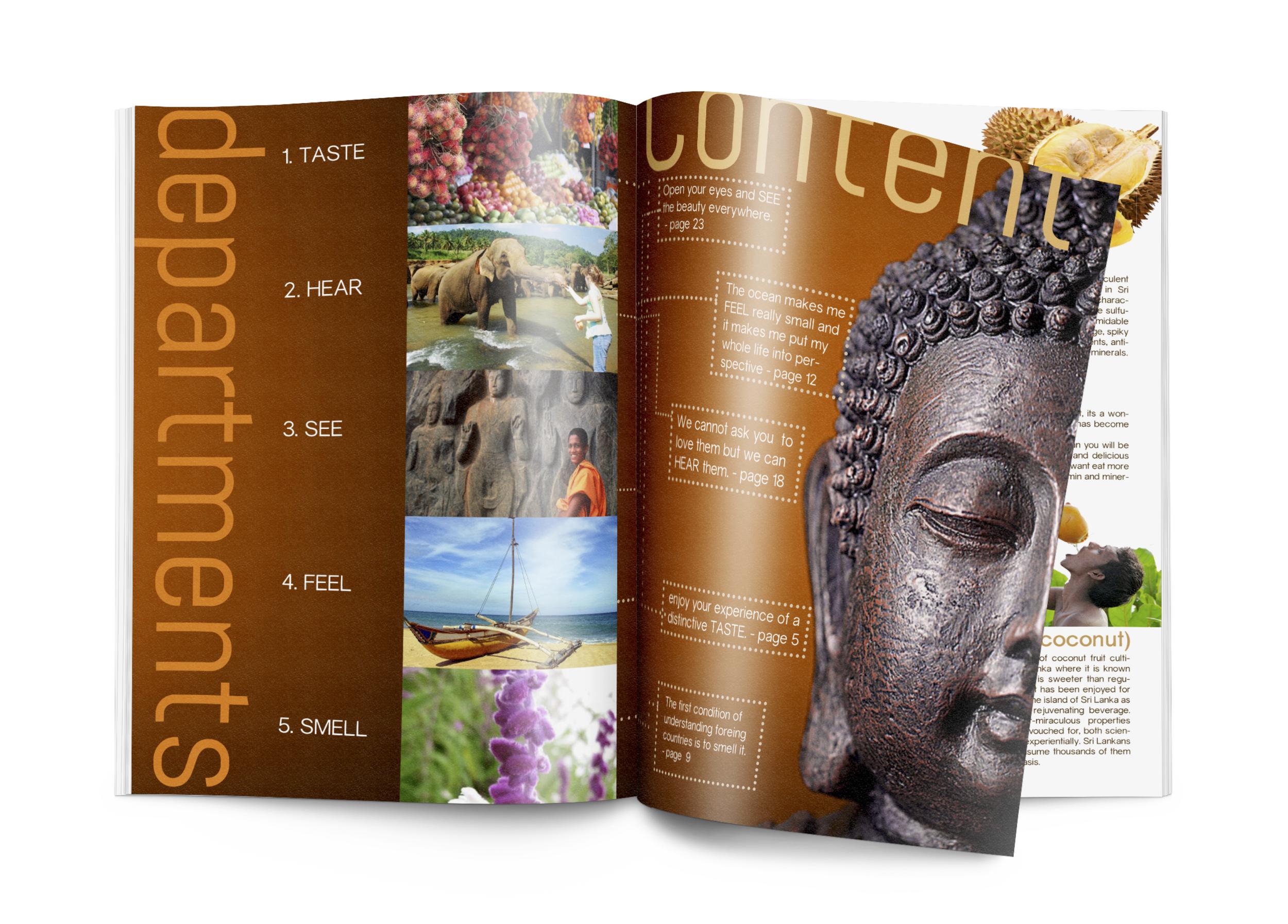 mock up content page .jpg