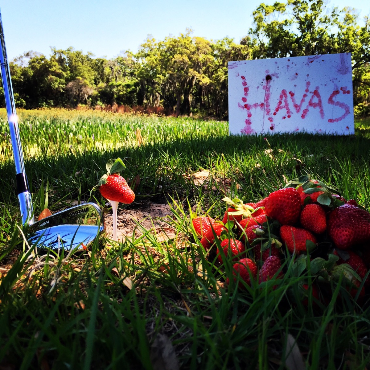 Havas Instagram Competition