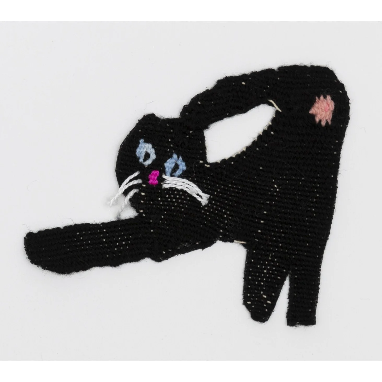 Kayla Mattes_Whiskers.jpg